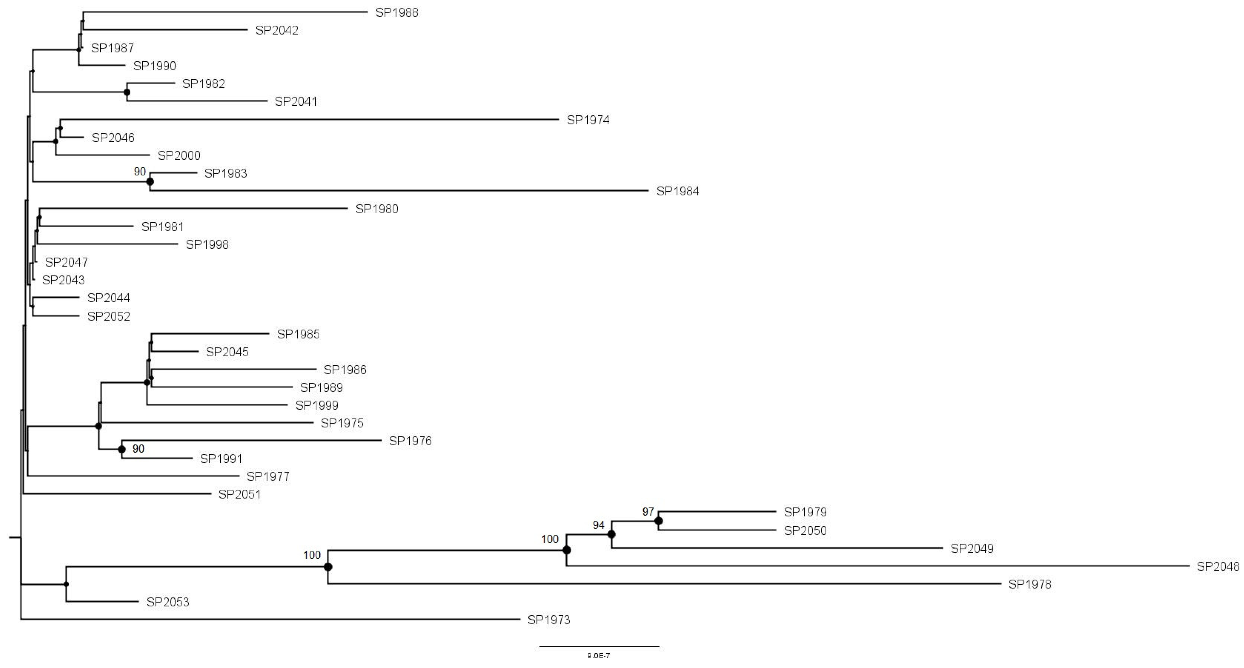 Microorganisms 12 01953 g002