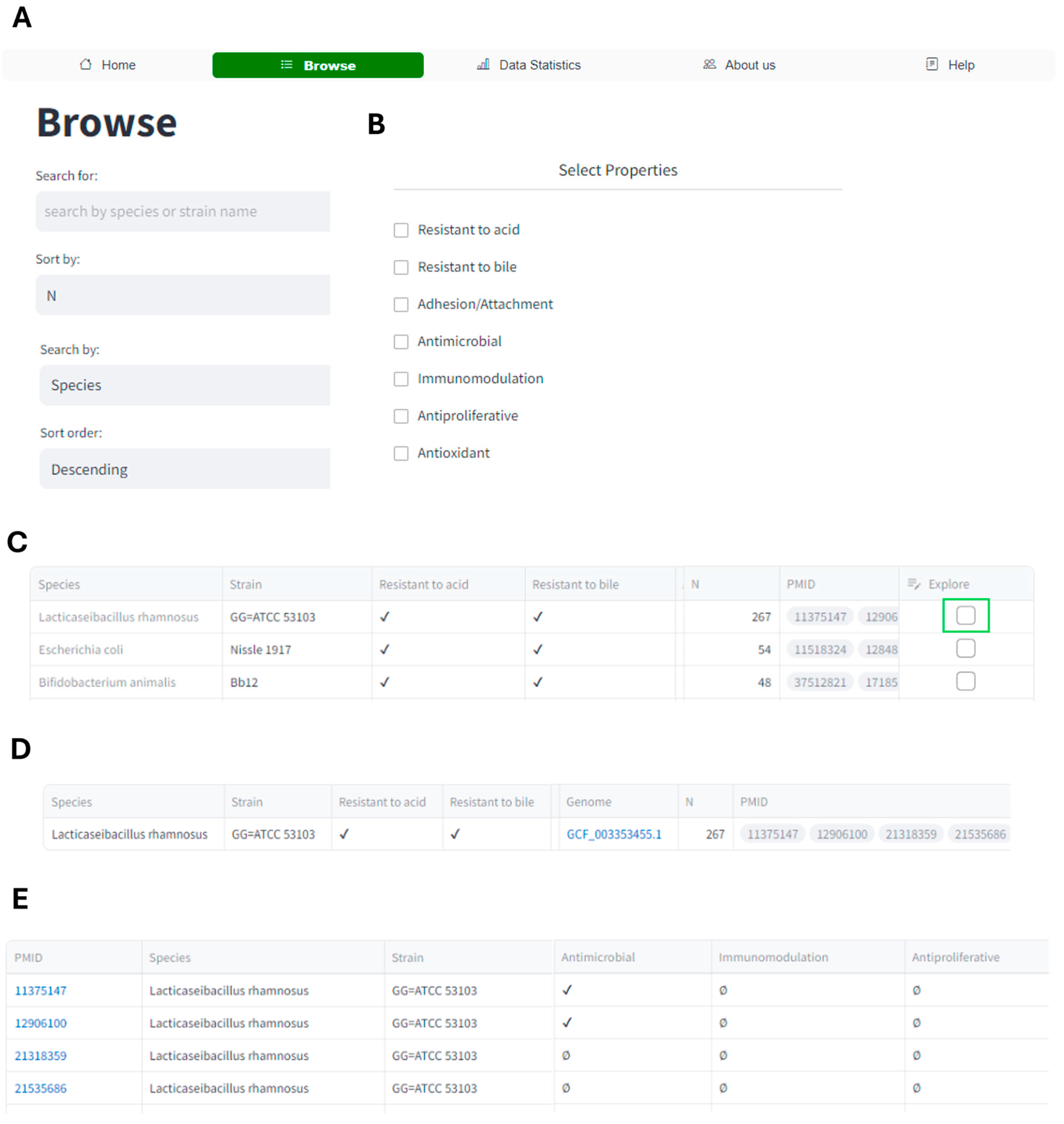 Microorganisms 12 01955 g004