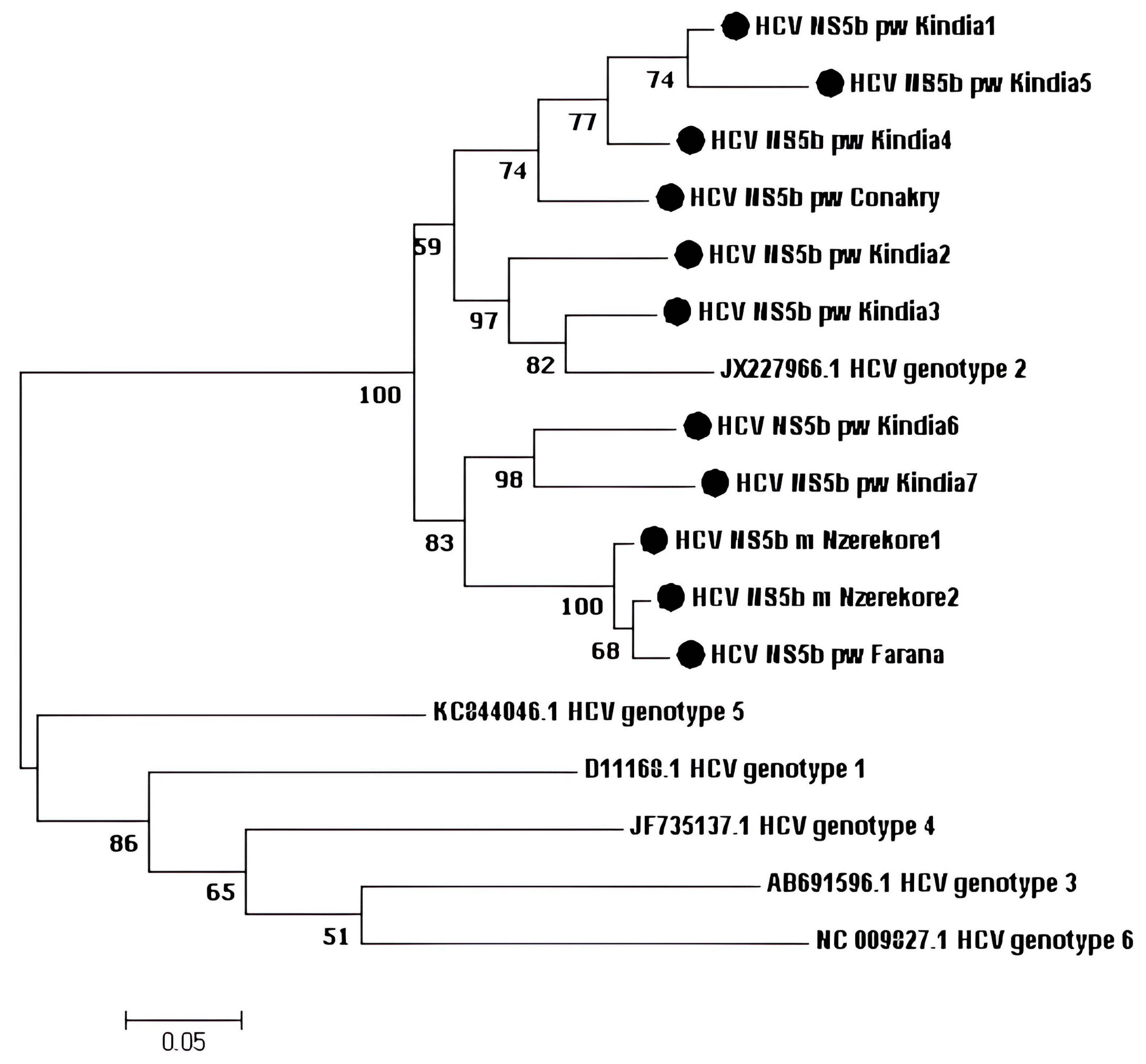 Microorganisms 12 01959 g002