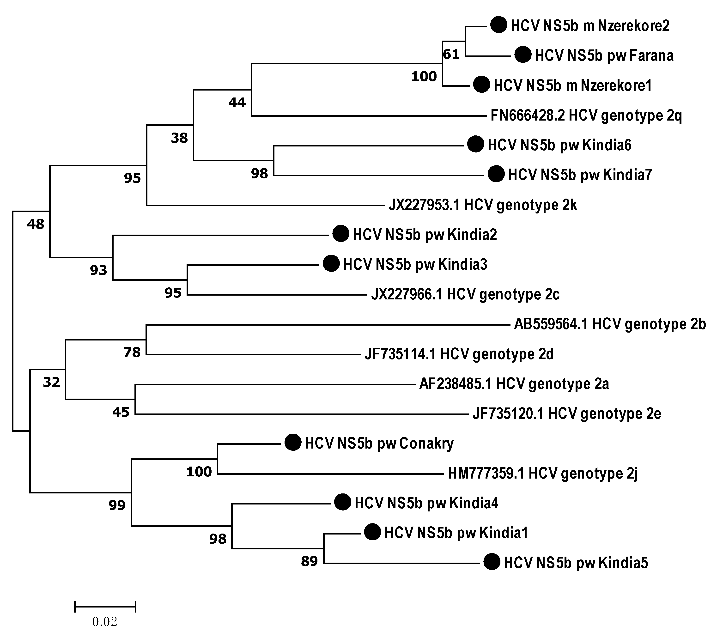 Microorganisms 12 01959 g003