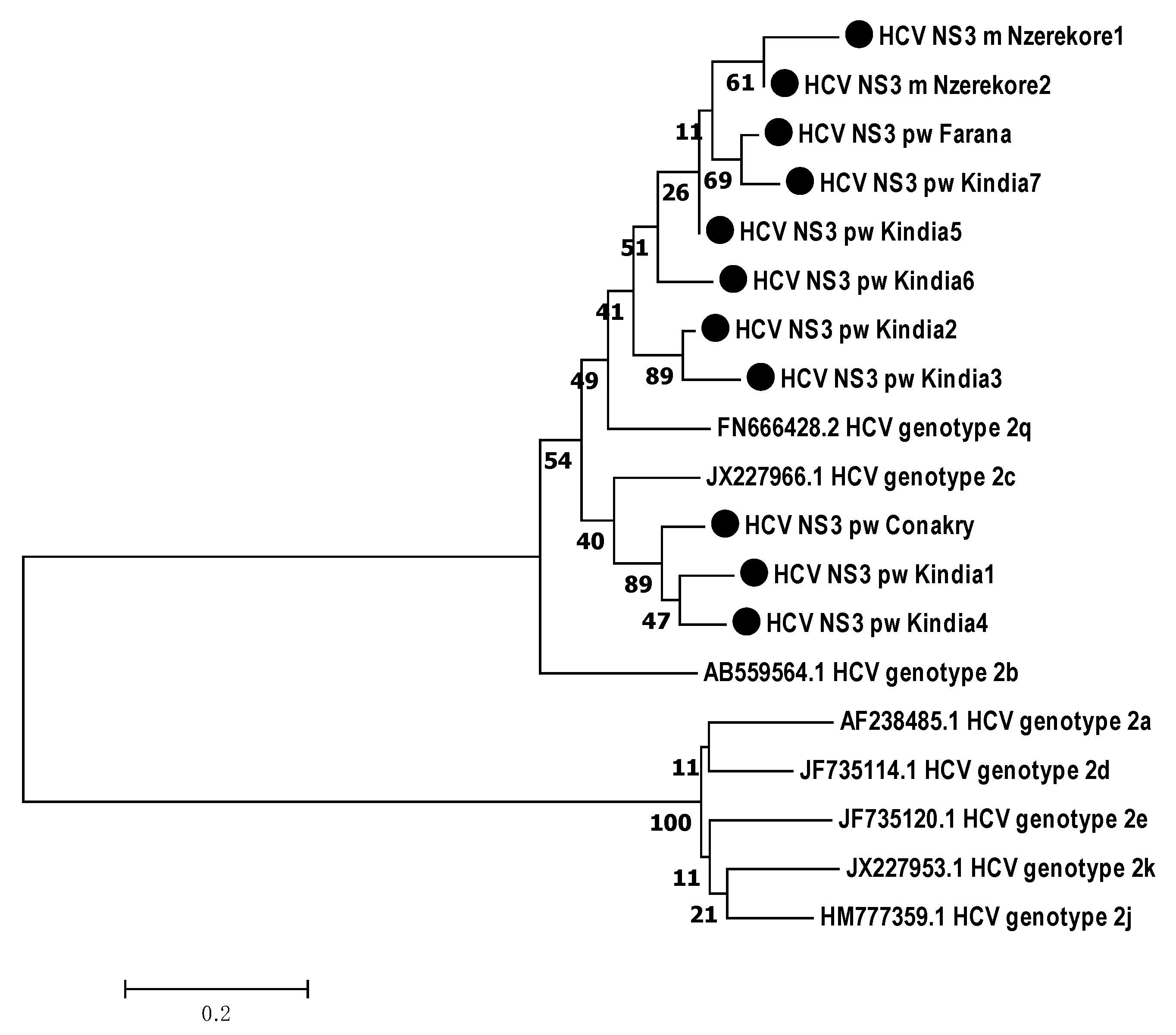 Microorganisms 12 01959 g005
