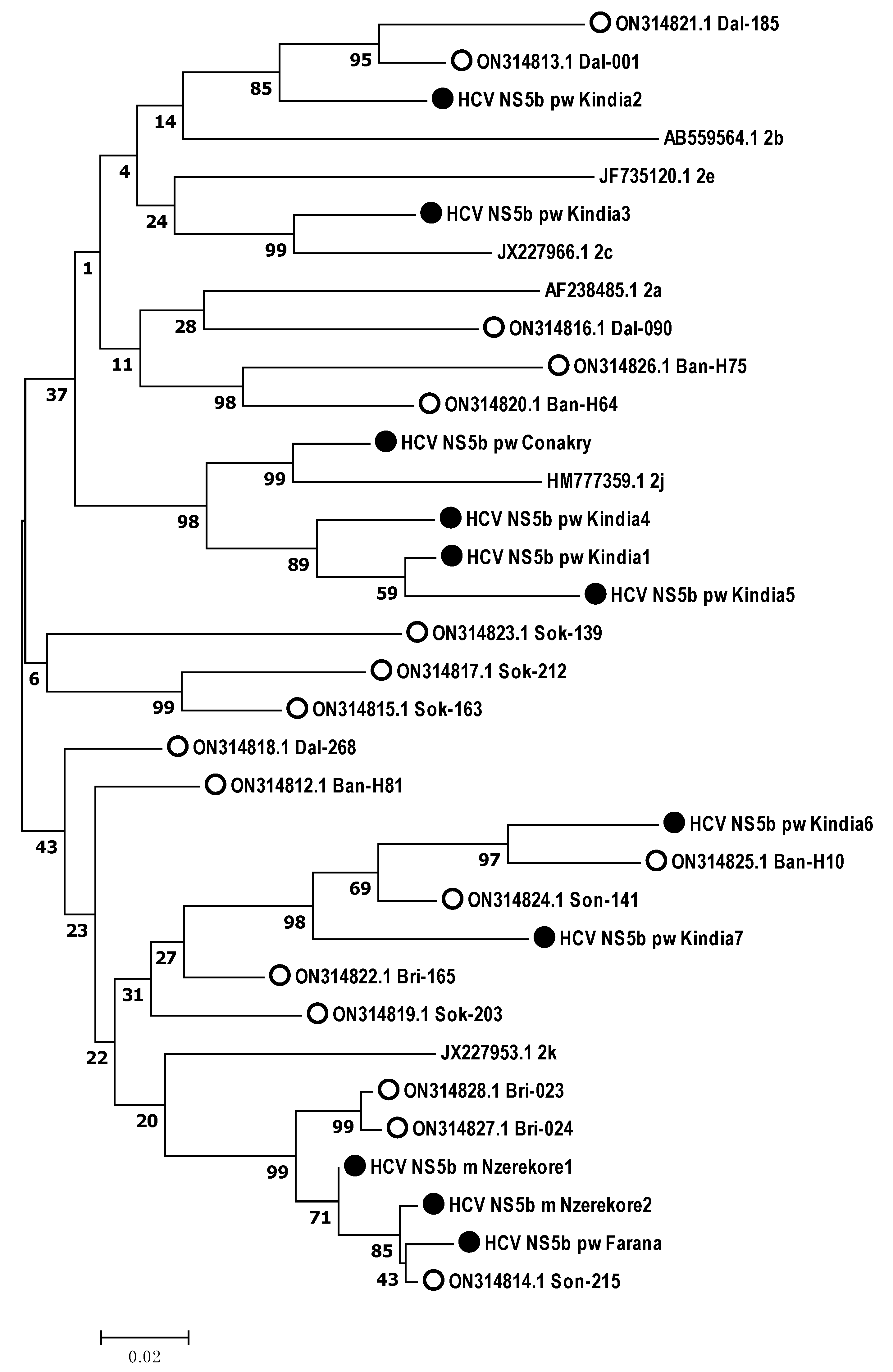 Microorganisms 12 01959 g006
