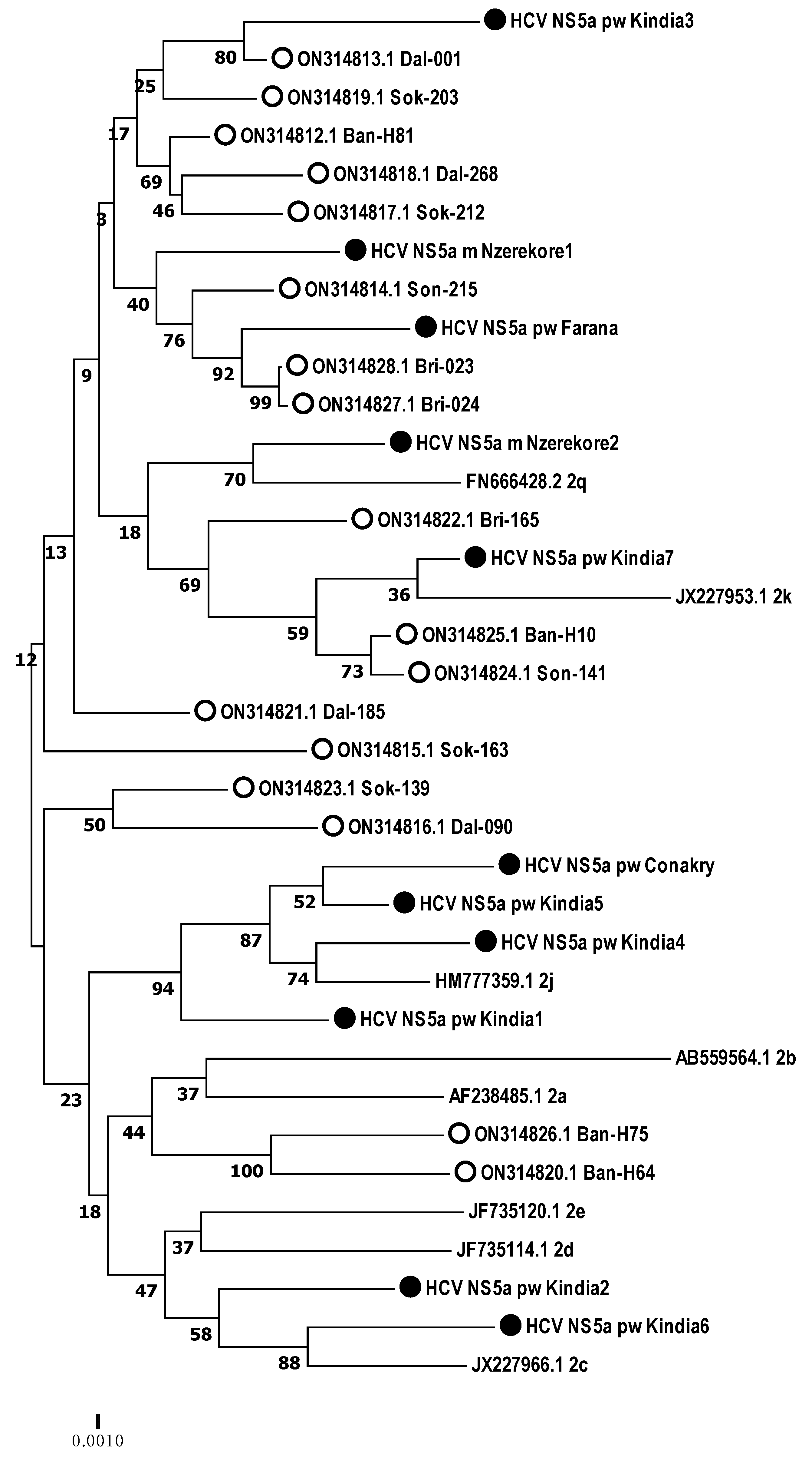 Microorganisms 12 01959 g007