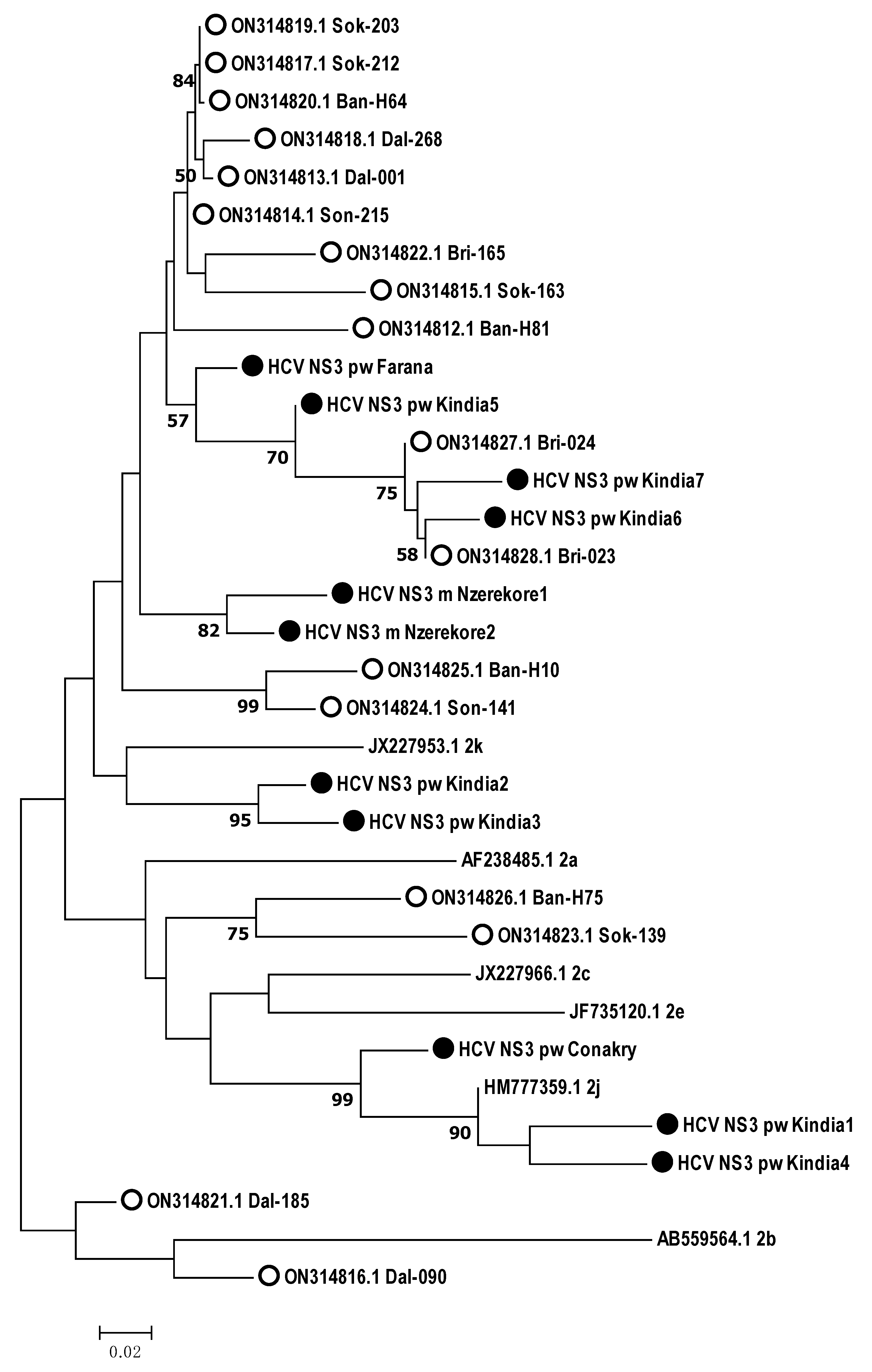 Microorganisms 12 01959 g008