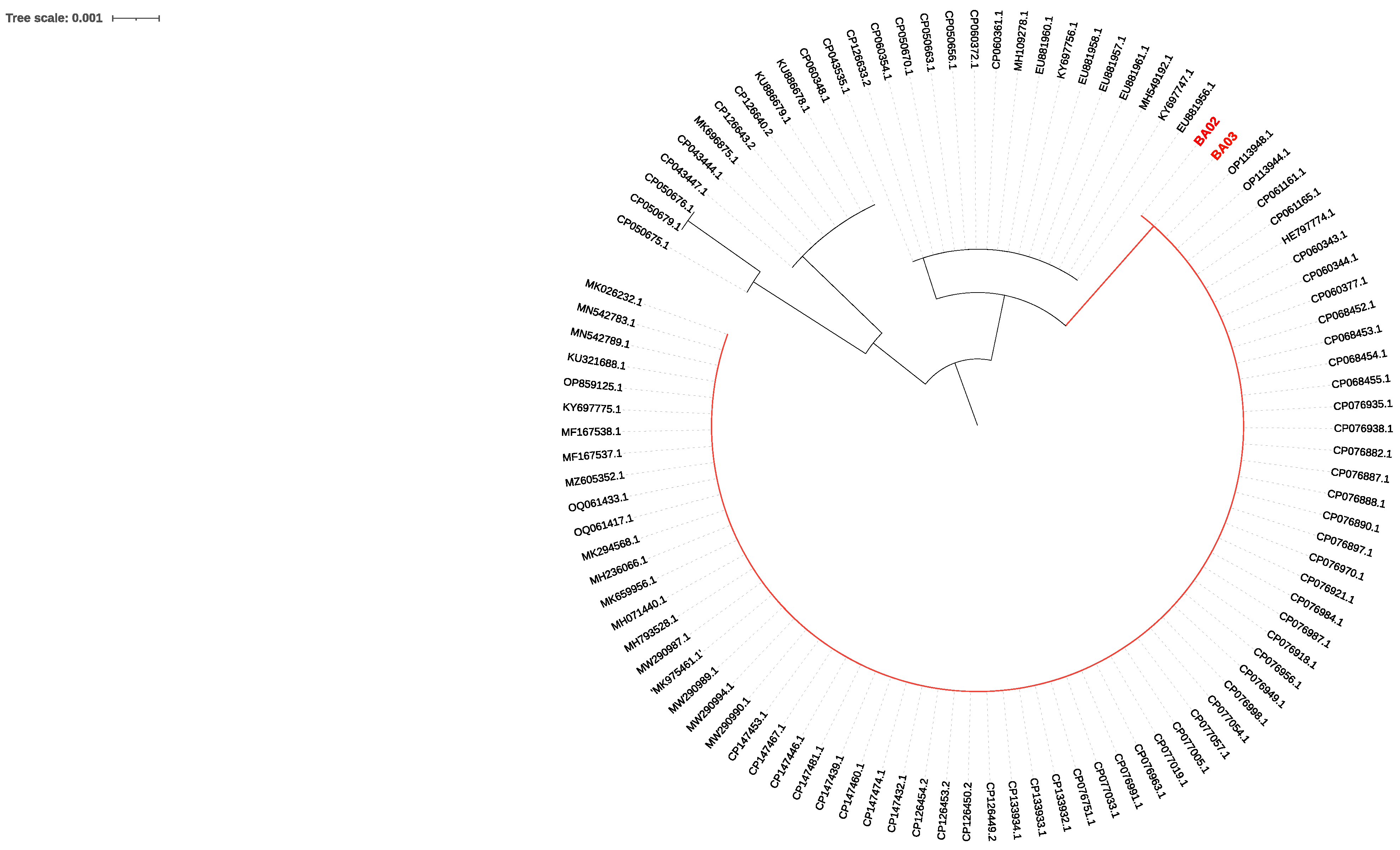 Microorganisms 12 01962 g001