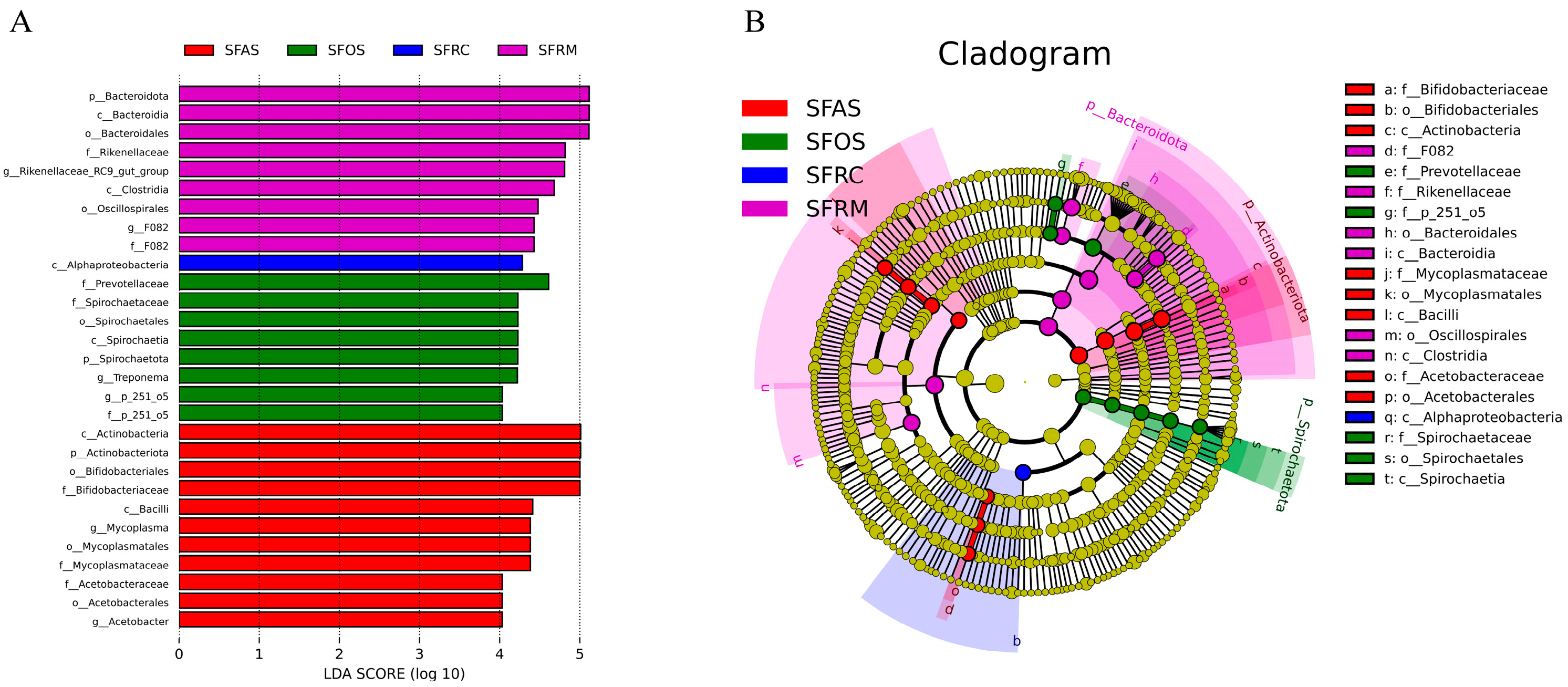 Microorganisms 12 01968 g003