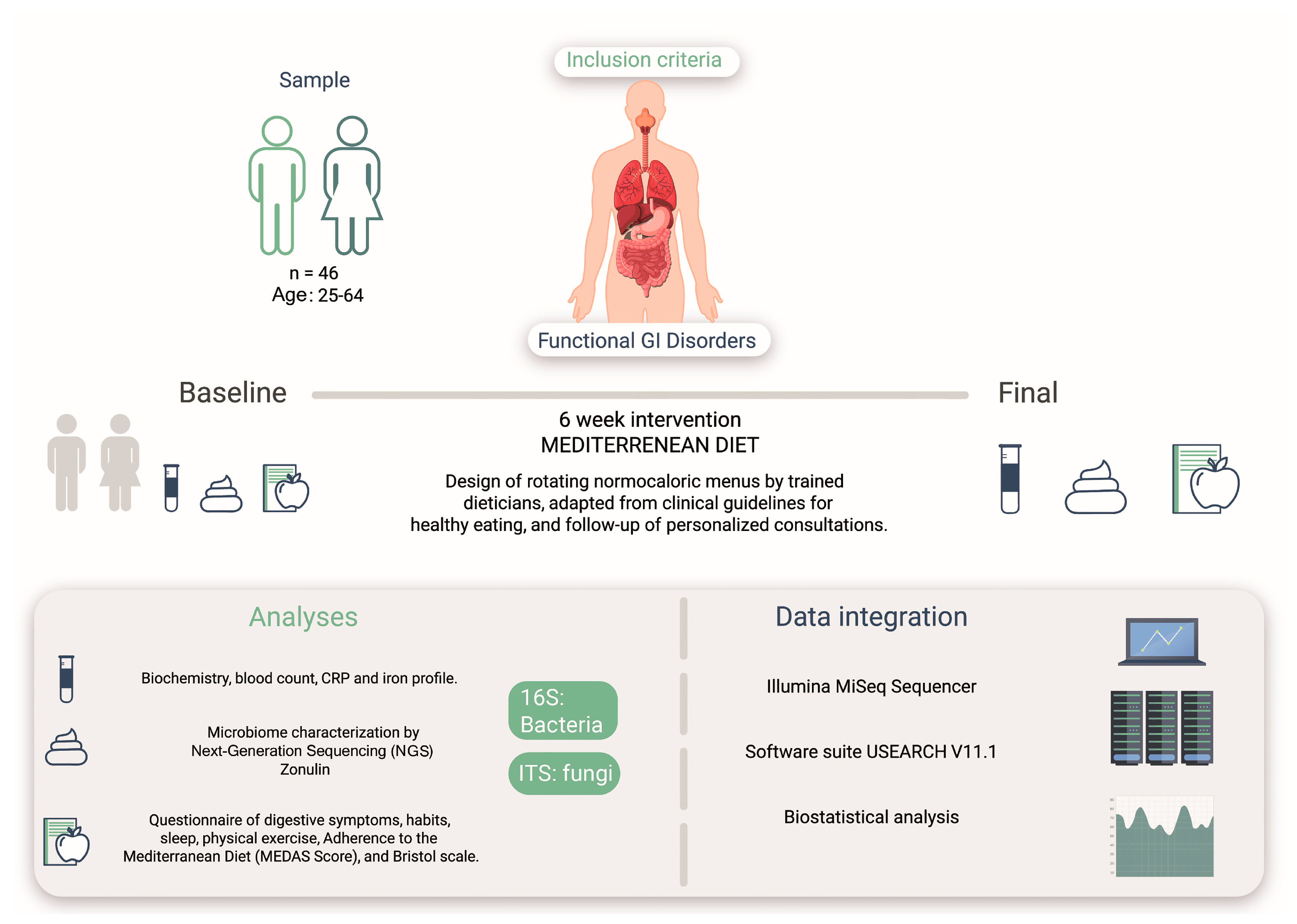 Microorganisms 12 01969 g001