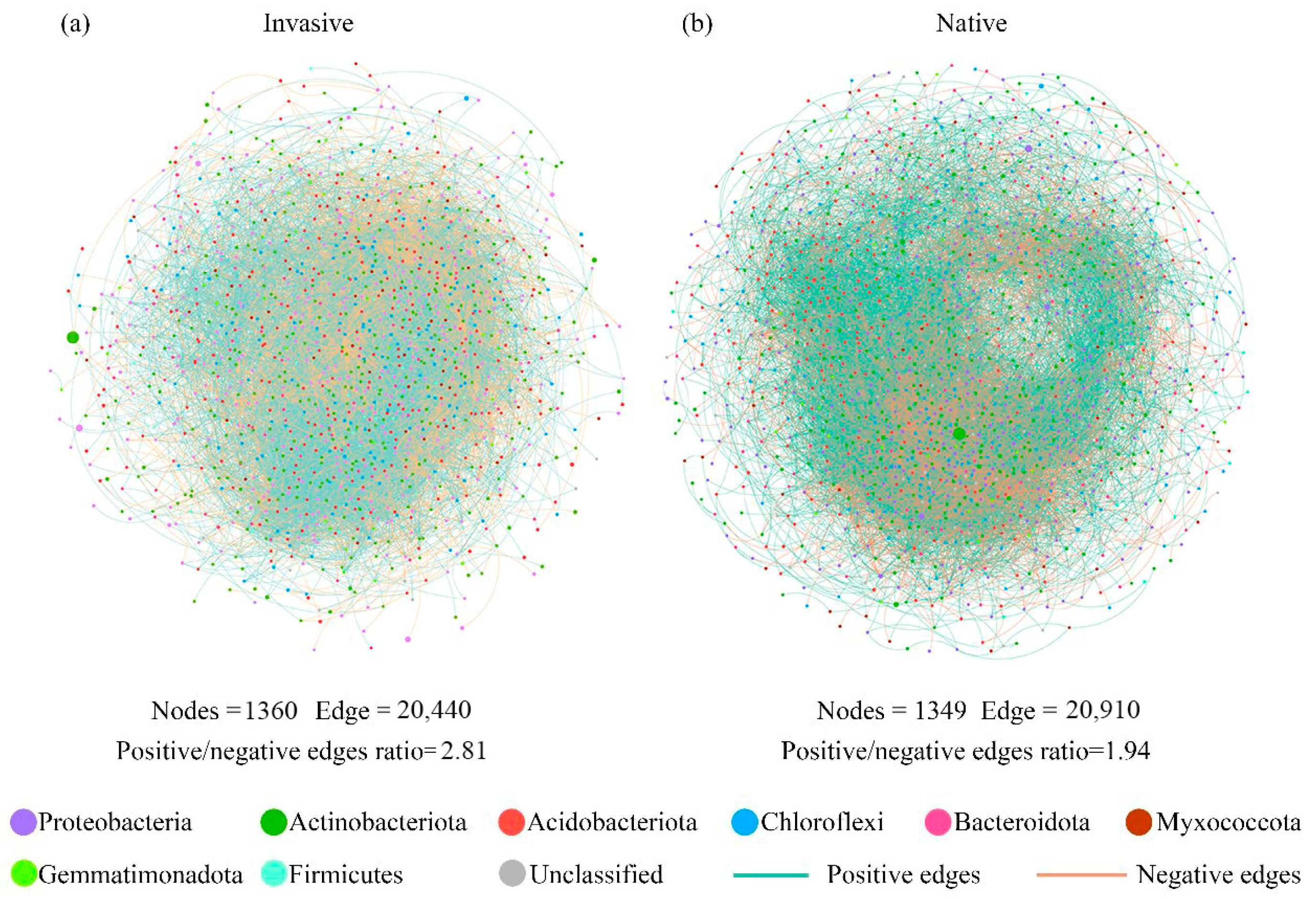 Microorganisms 12 01972 g004