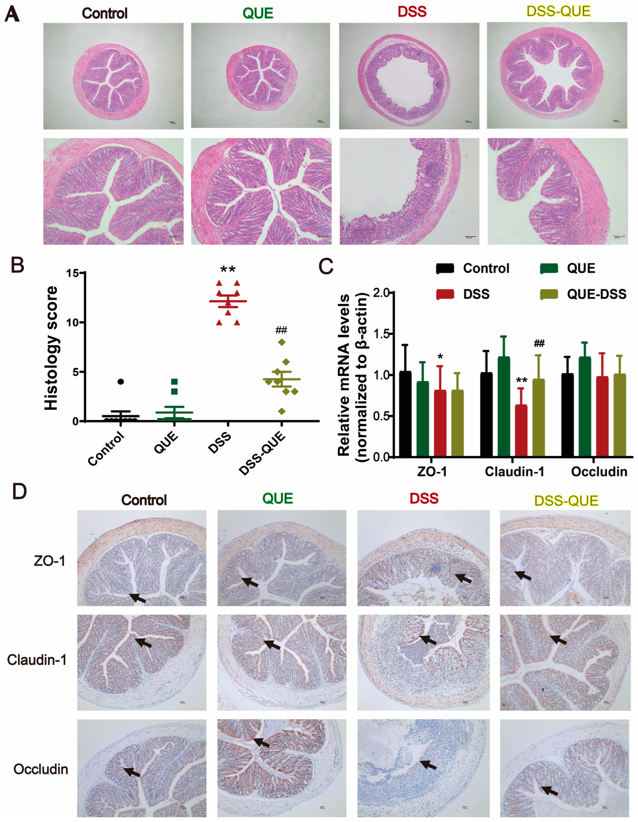 Microorganisms 12 01973 g002