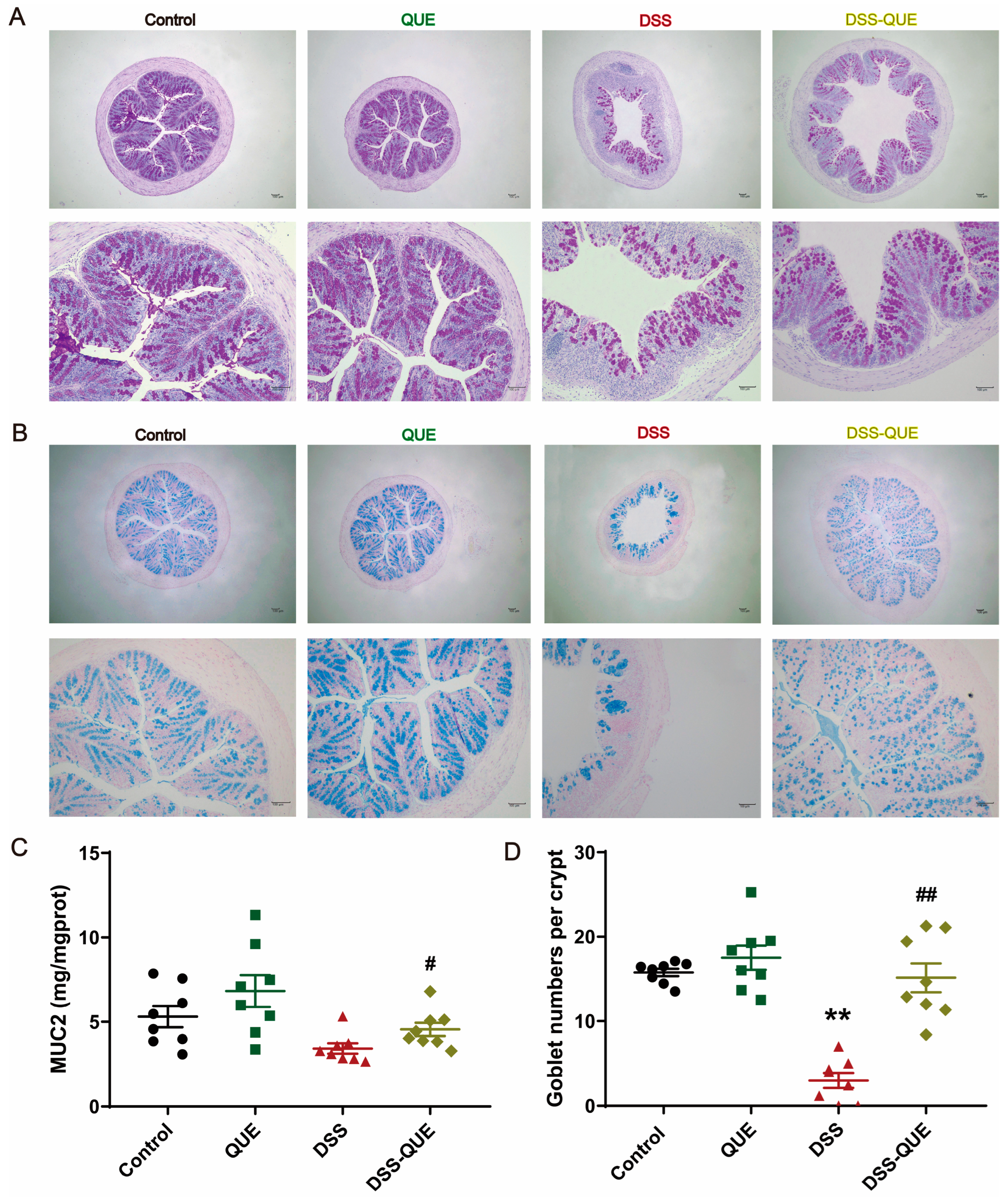 Microorganisms 12 01973 g003