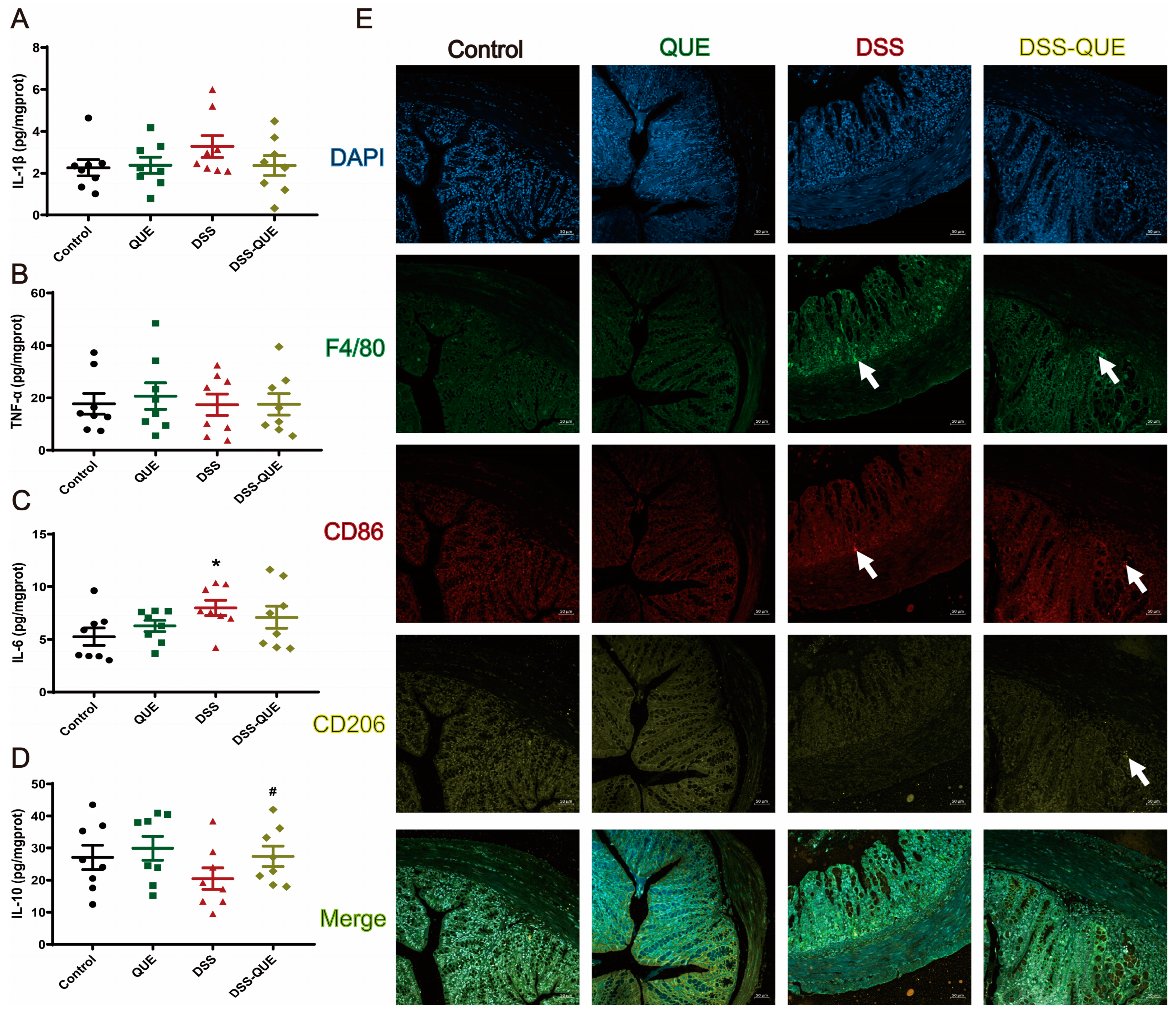 Microorganisms 12 01973 g004