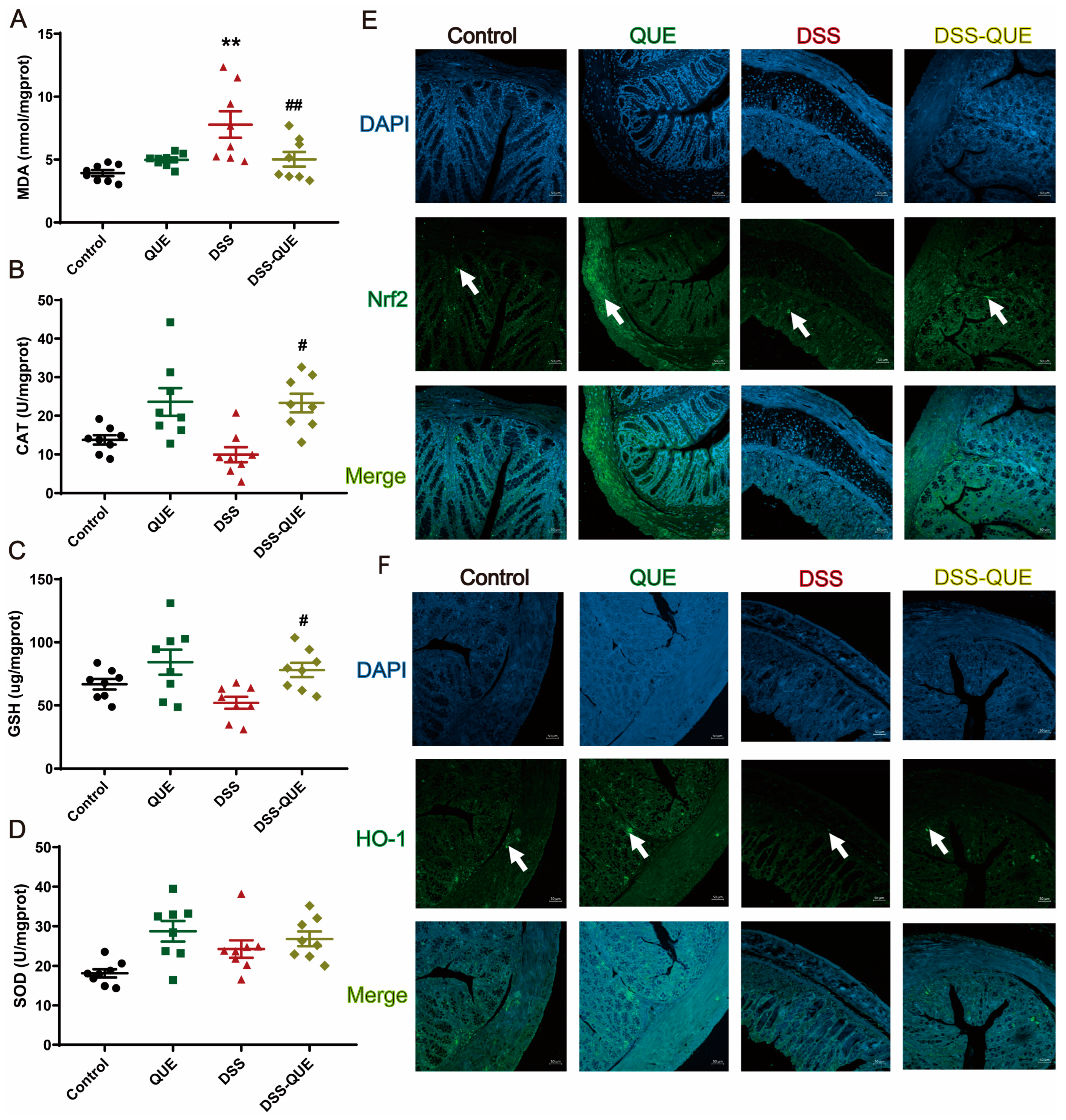 Microorganisms 12 01973 g005