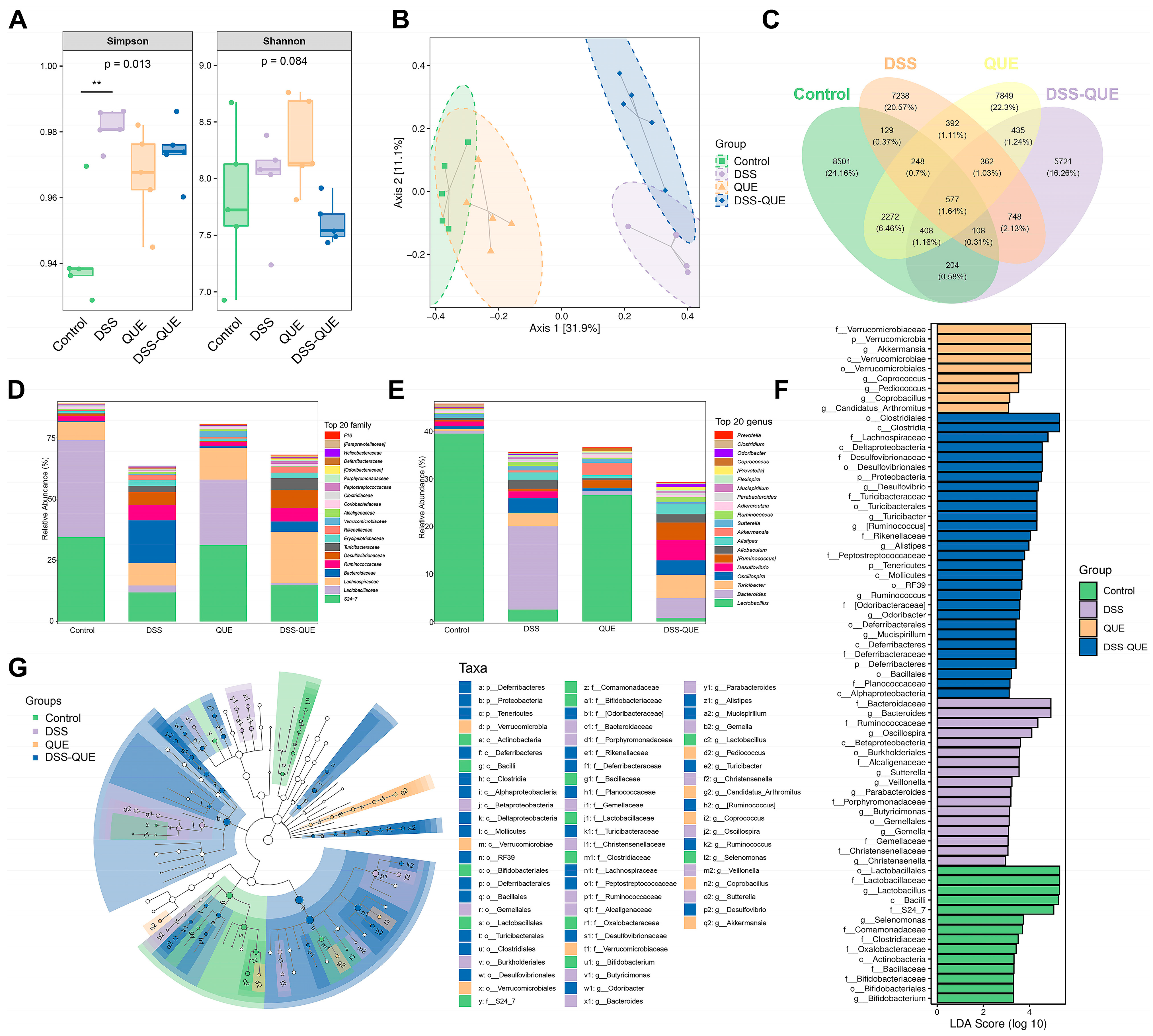 Microorganisms 12 01973 g006