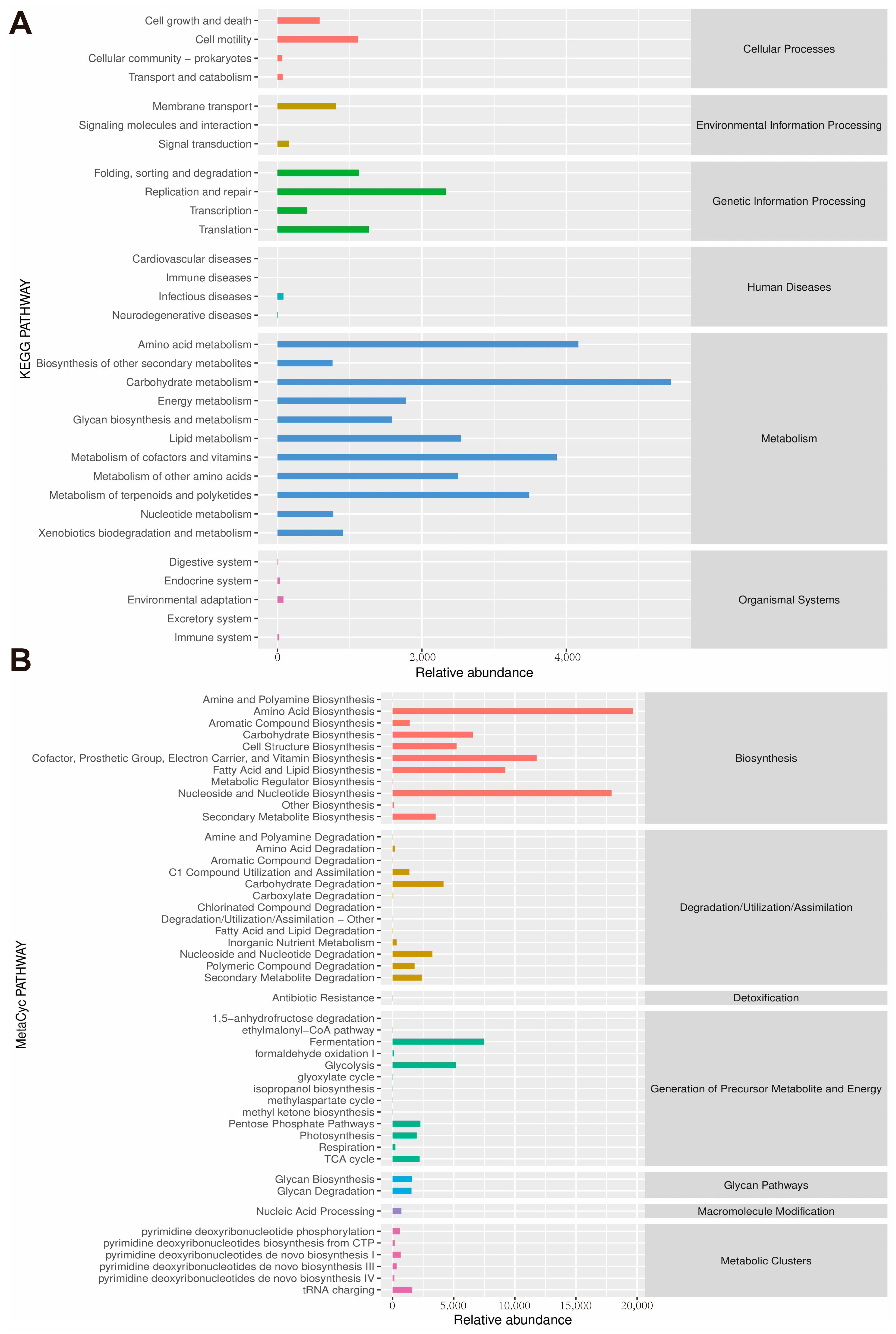Microorganisms 12 01973 g007