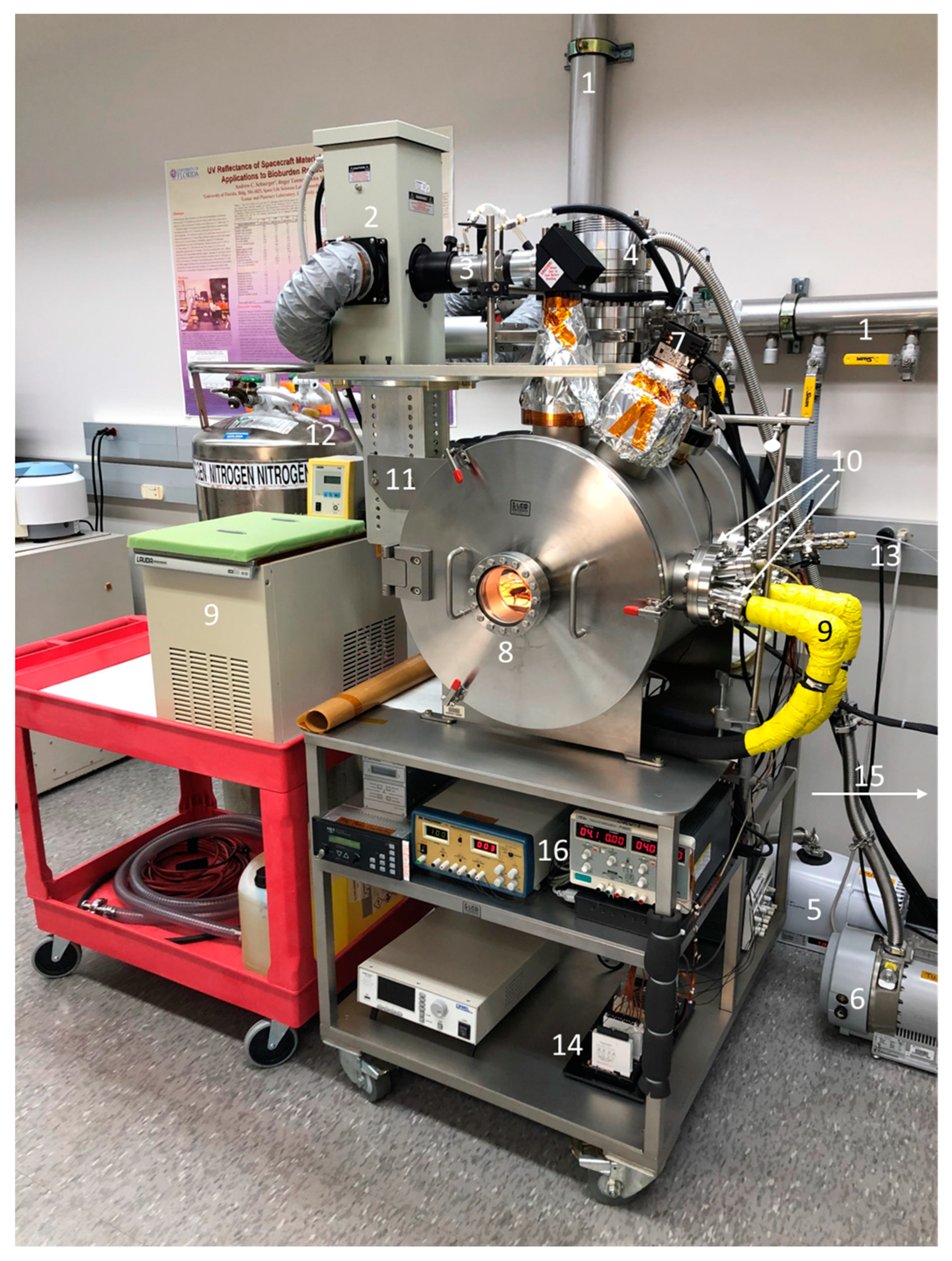 Microorganisms 12 01976 g001