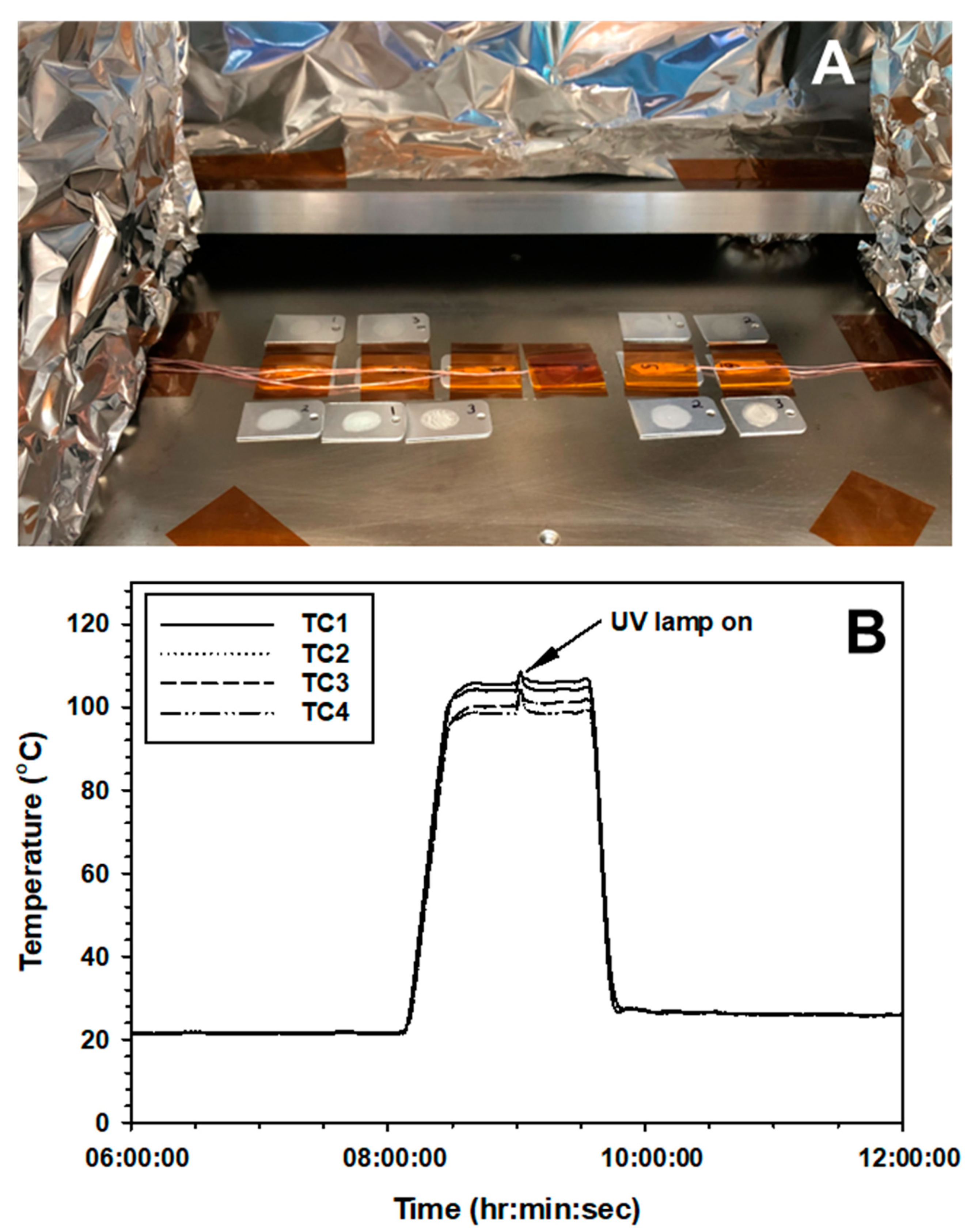 Microorganisms 12 01976 g002