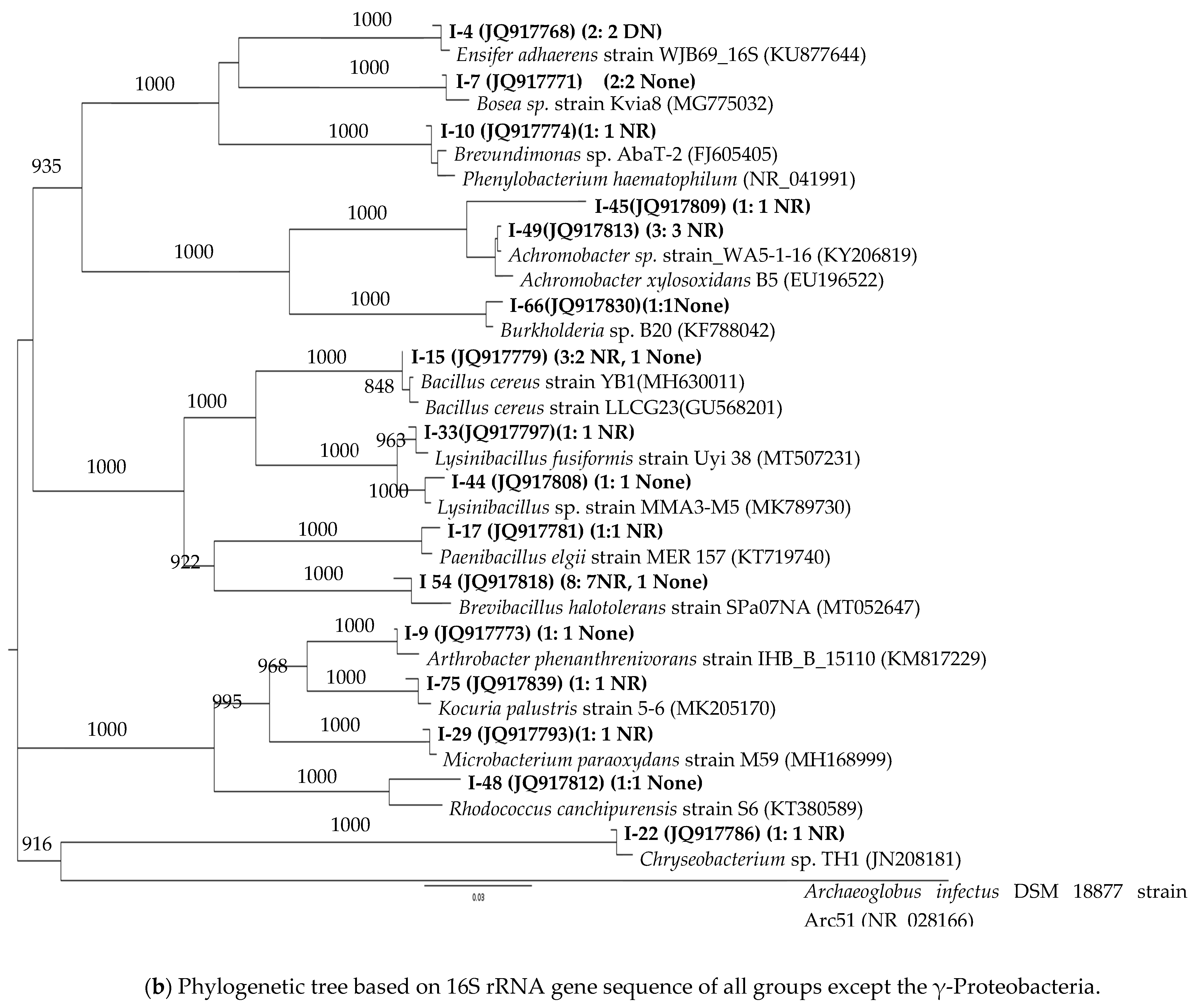 Microorganisms 12 01981 g002b Microorganisms 12 01981 g002b