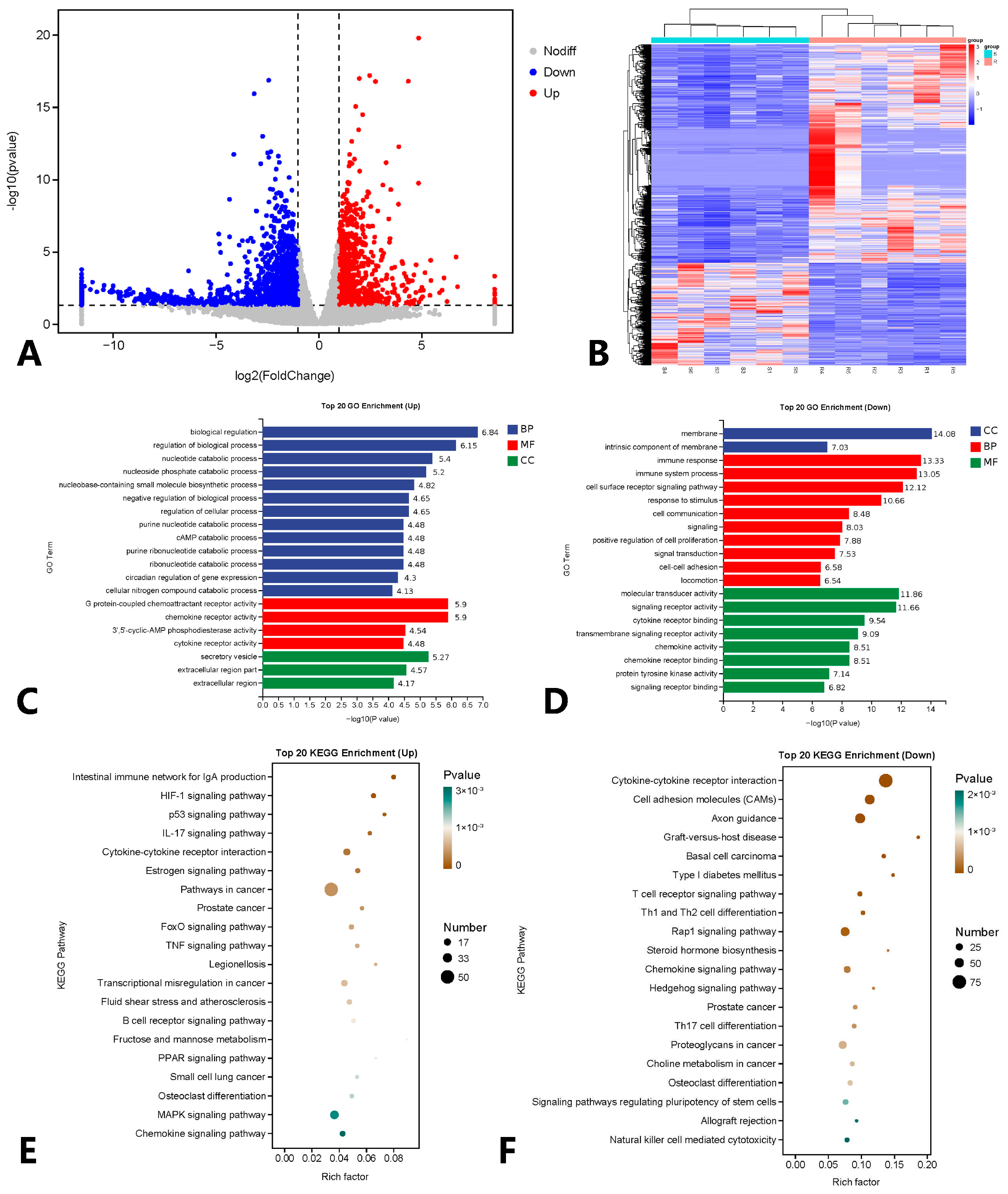 Microorganisms 12 01983 g003