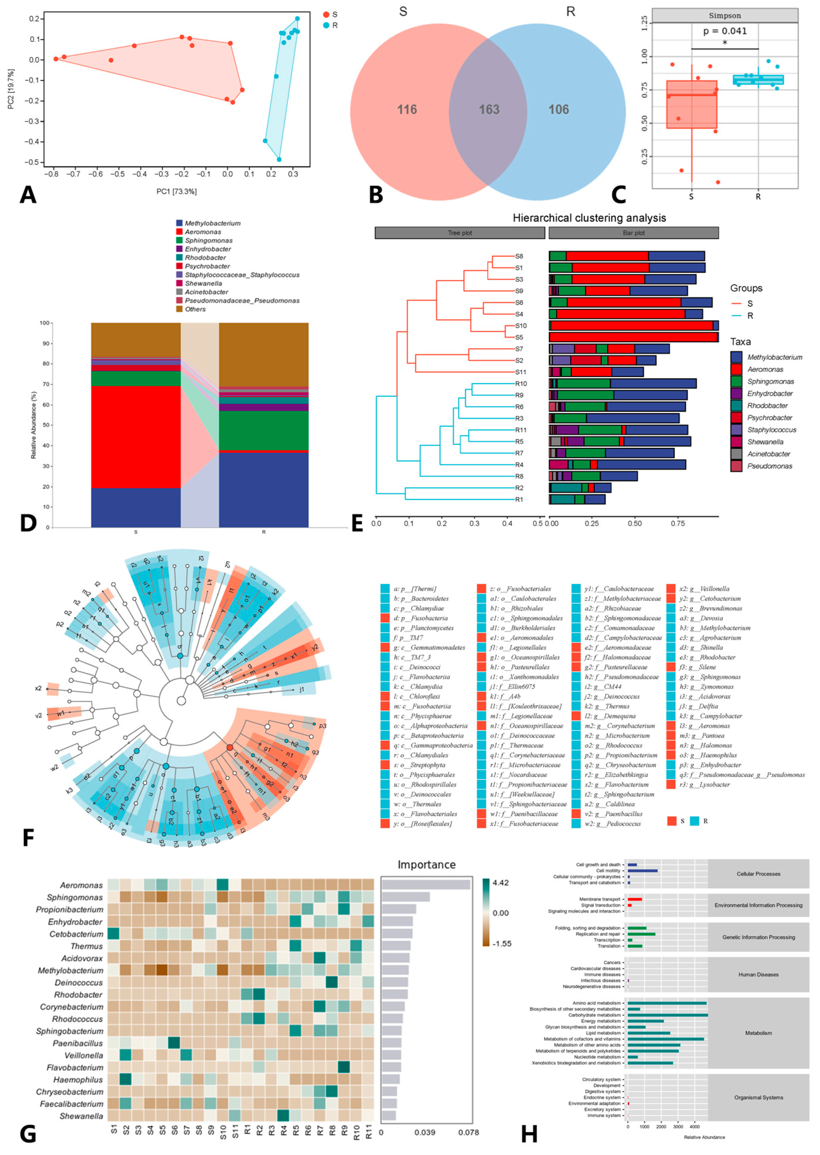 Microorganisms 12 01983 g004