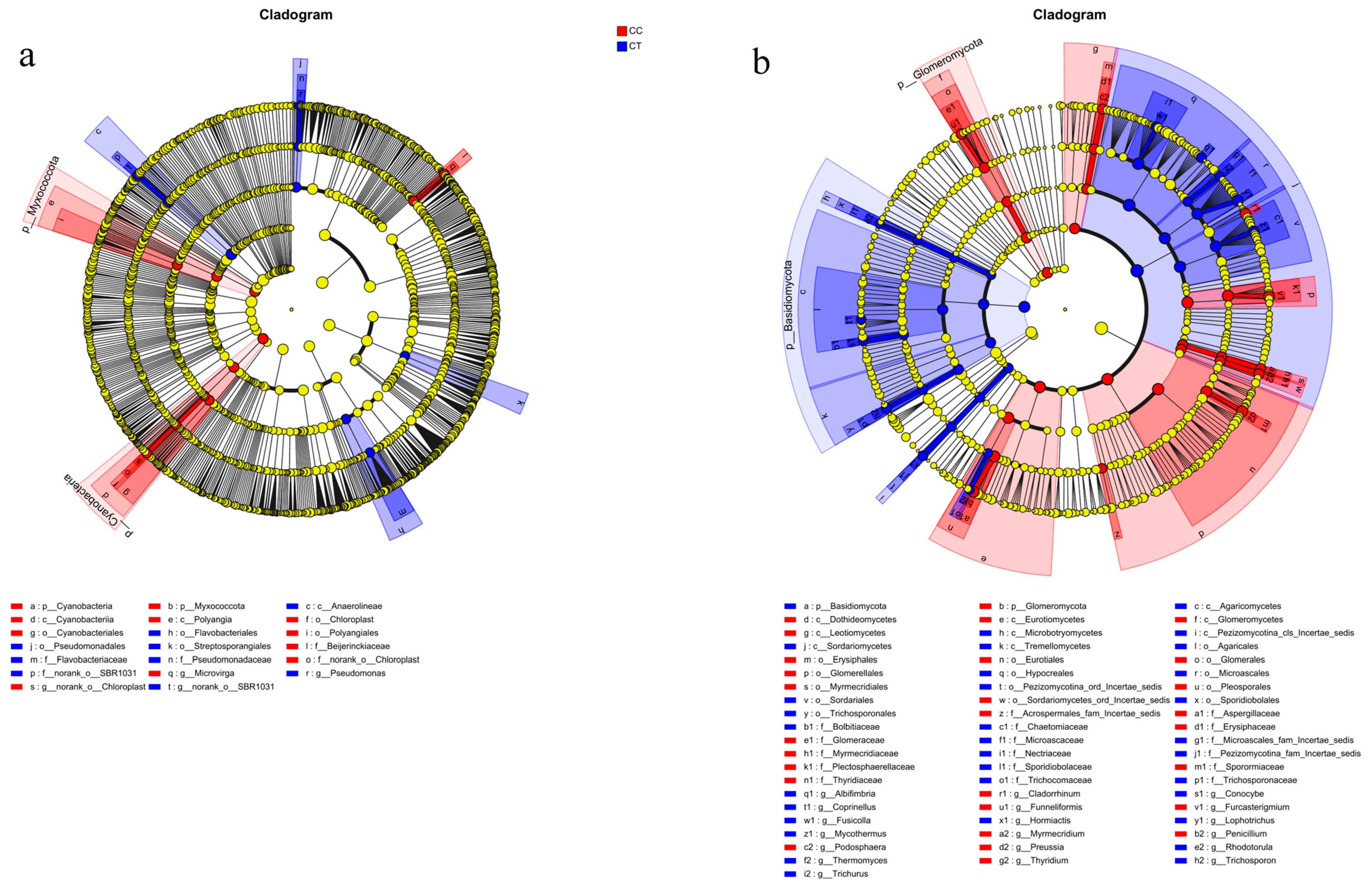 Microorganisms 12 01987 g006