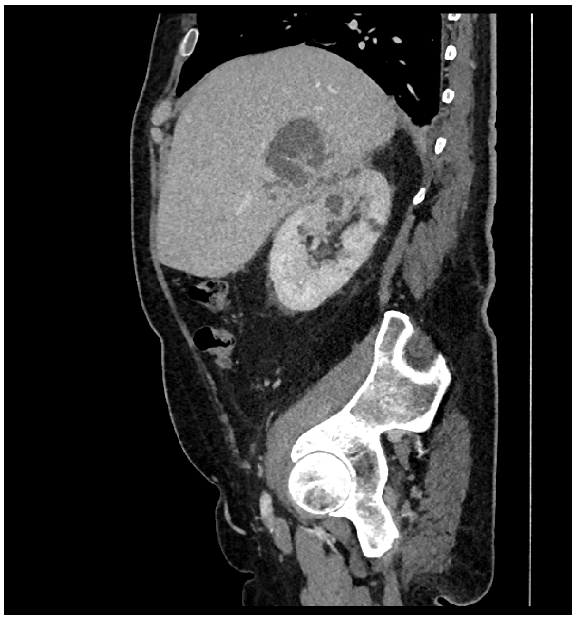 Microorganisms 12 01989 g001