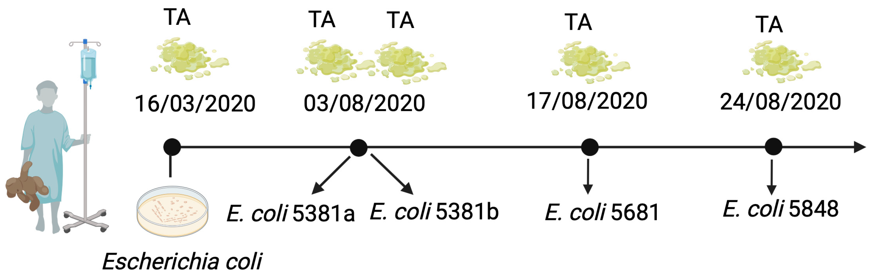 Microorganisms 12 01990 g001