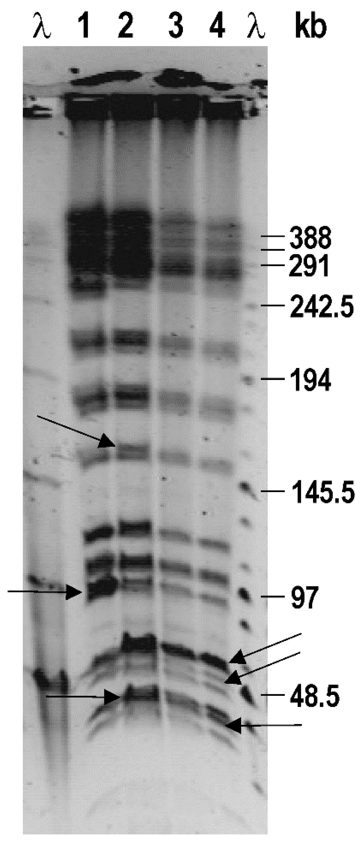 Microorganisms 12 01990 g002