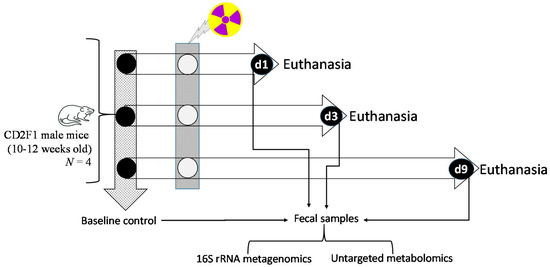 SNARE Modulators and SNARE Mimetic Peptides
