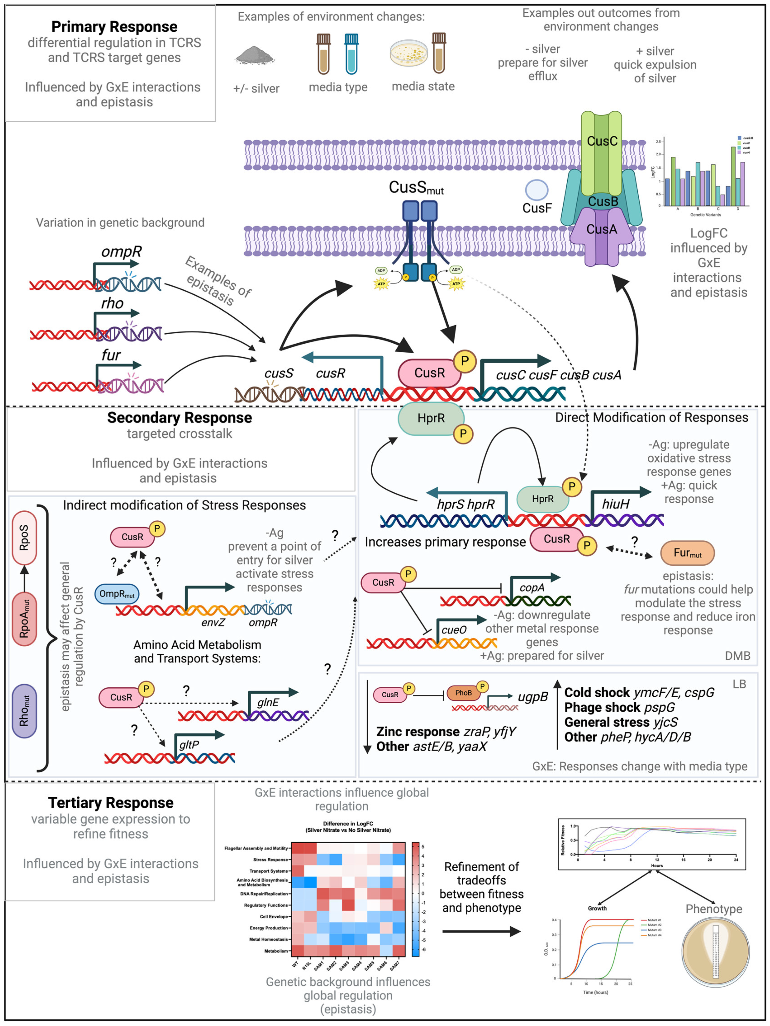 Microorganisms 12 02000 g006