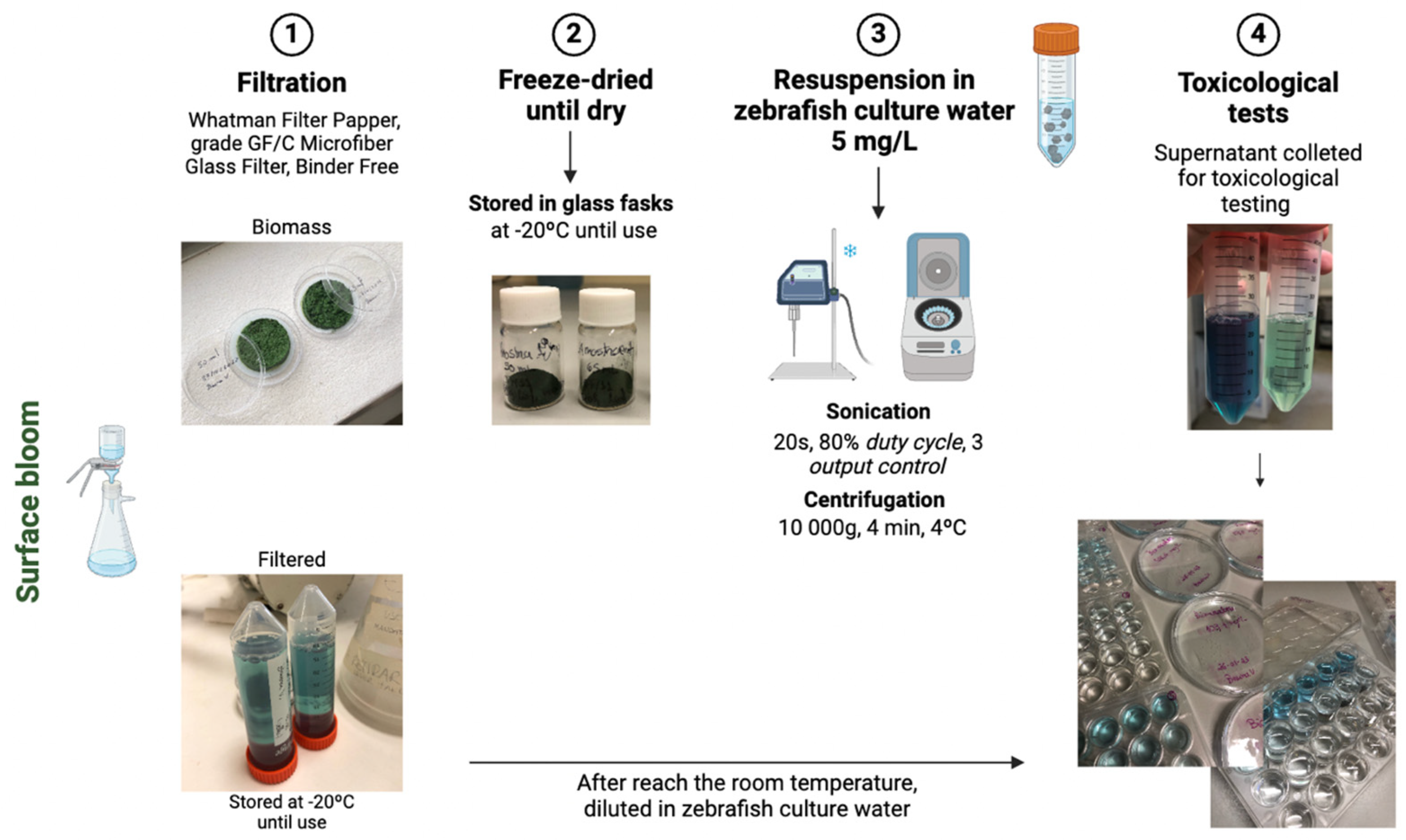 Microorganisms 12 02003 g001