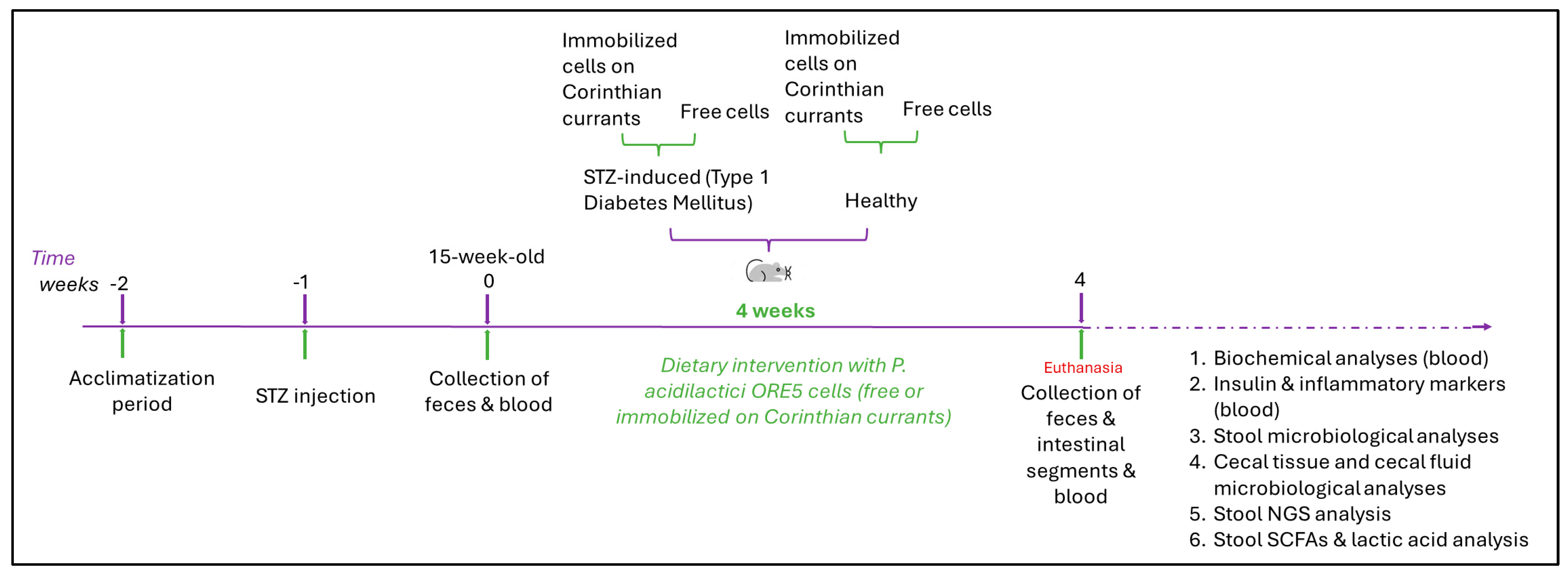 Microorganisms 12 02004 g001