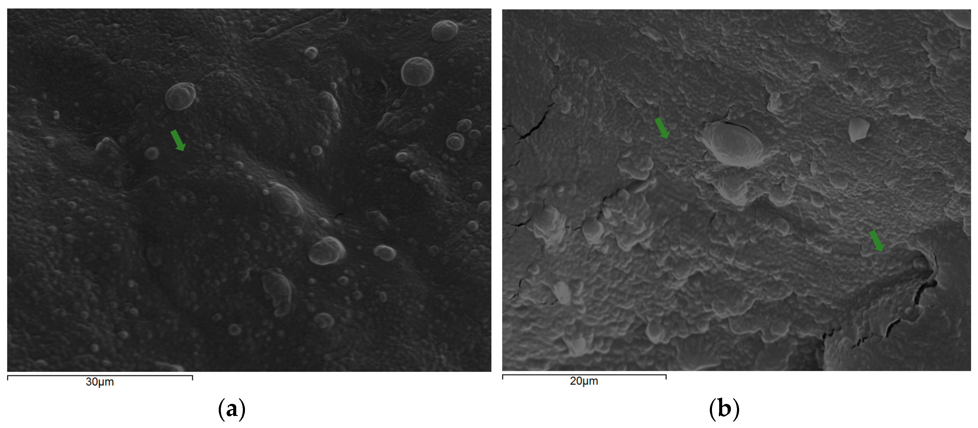 Microorganisms 12 02004 g002