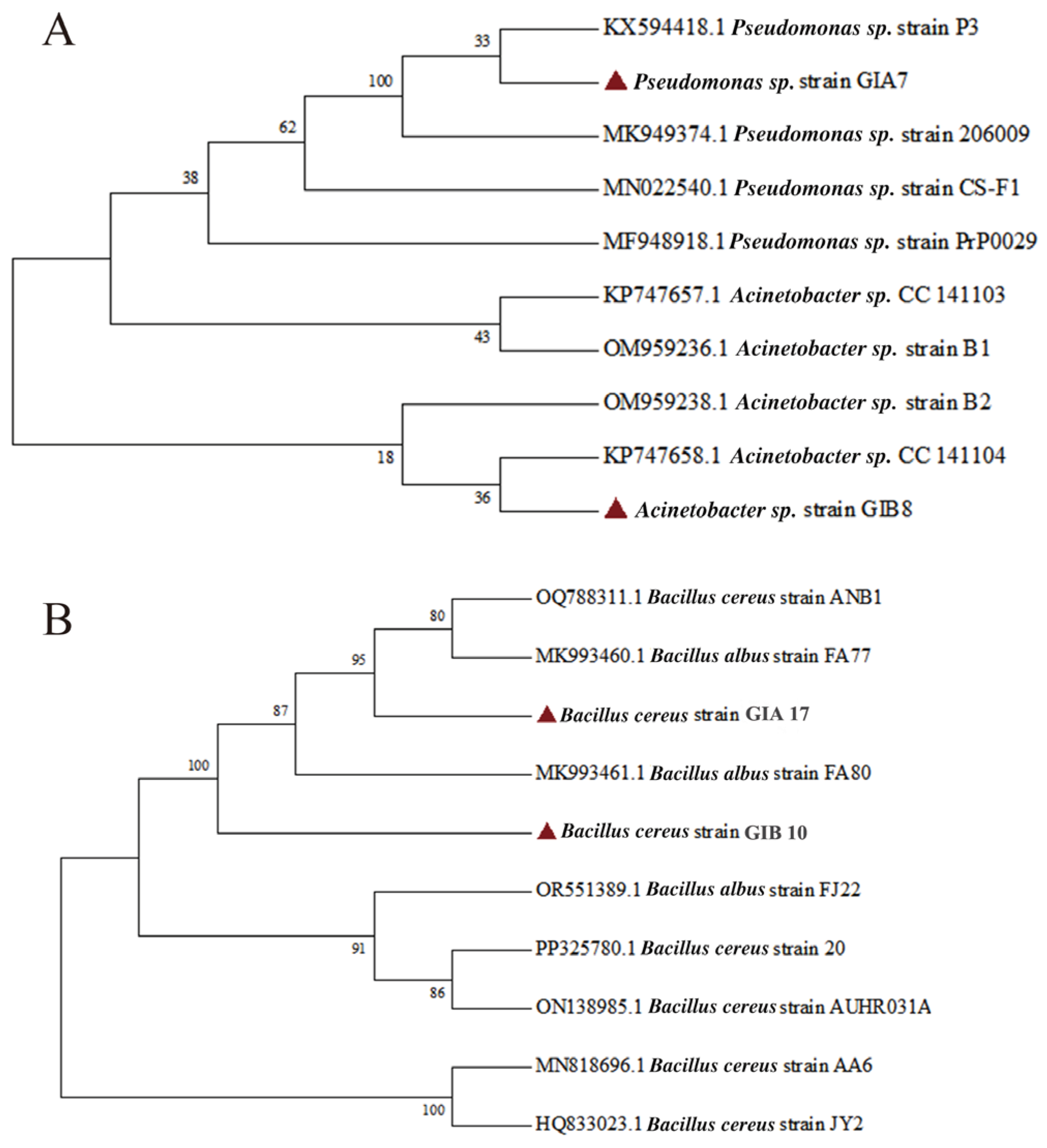 Microorganisms 12 02005 g002