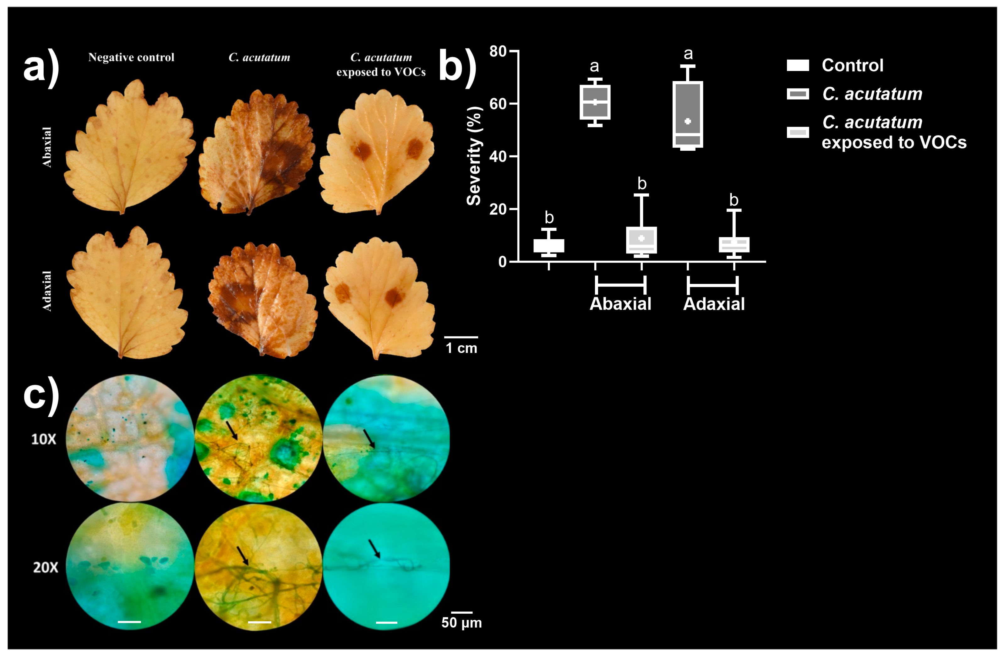 Microorganisms 12 02007 g006 Microorganisms 12 02007 g006