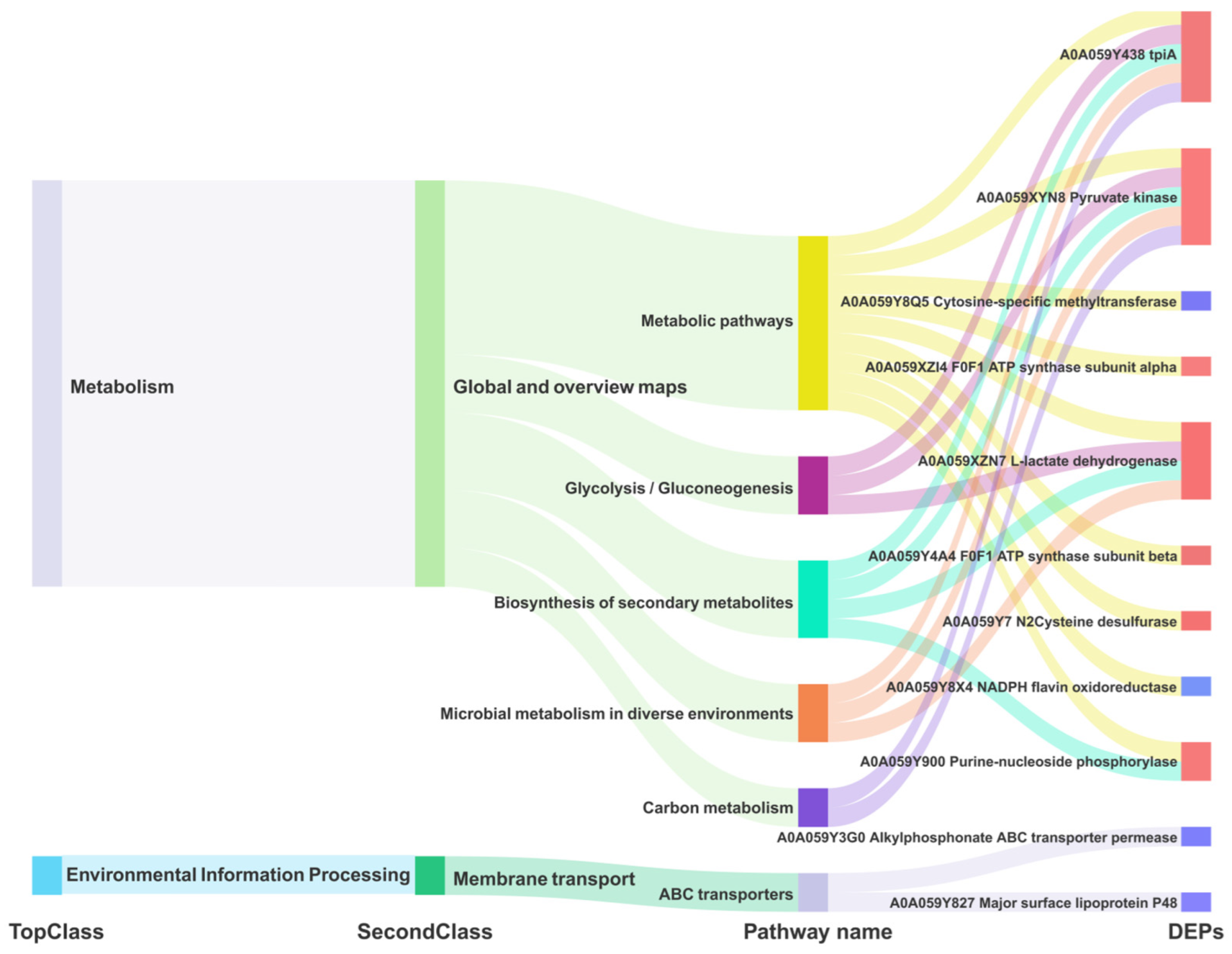 Microorganisms 12 02012 g010 Microorganisms 12 02012 g010