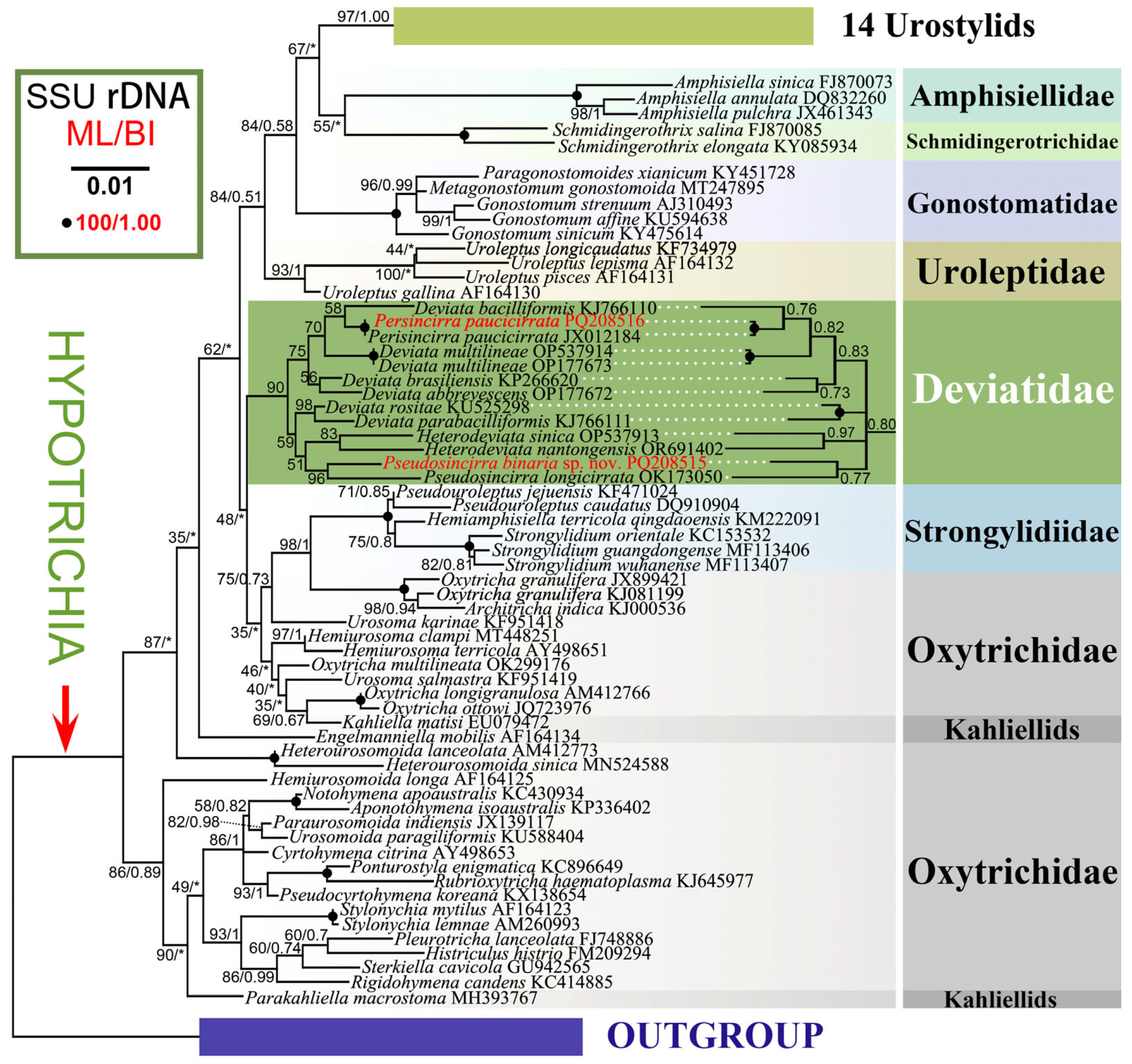 Microorganisms 12 02013 g011