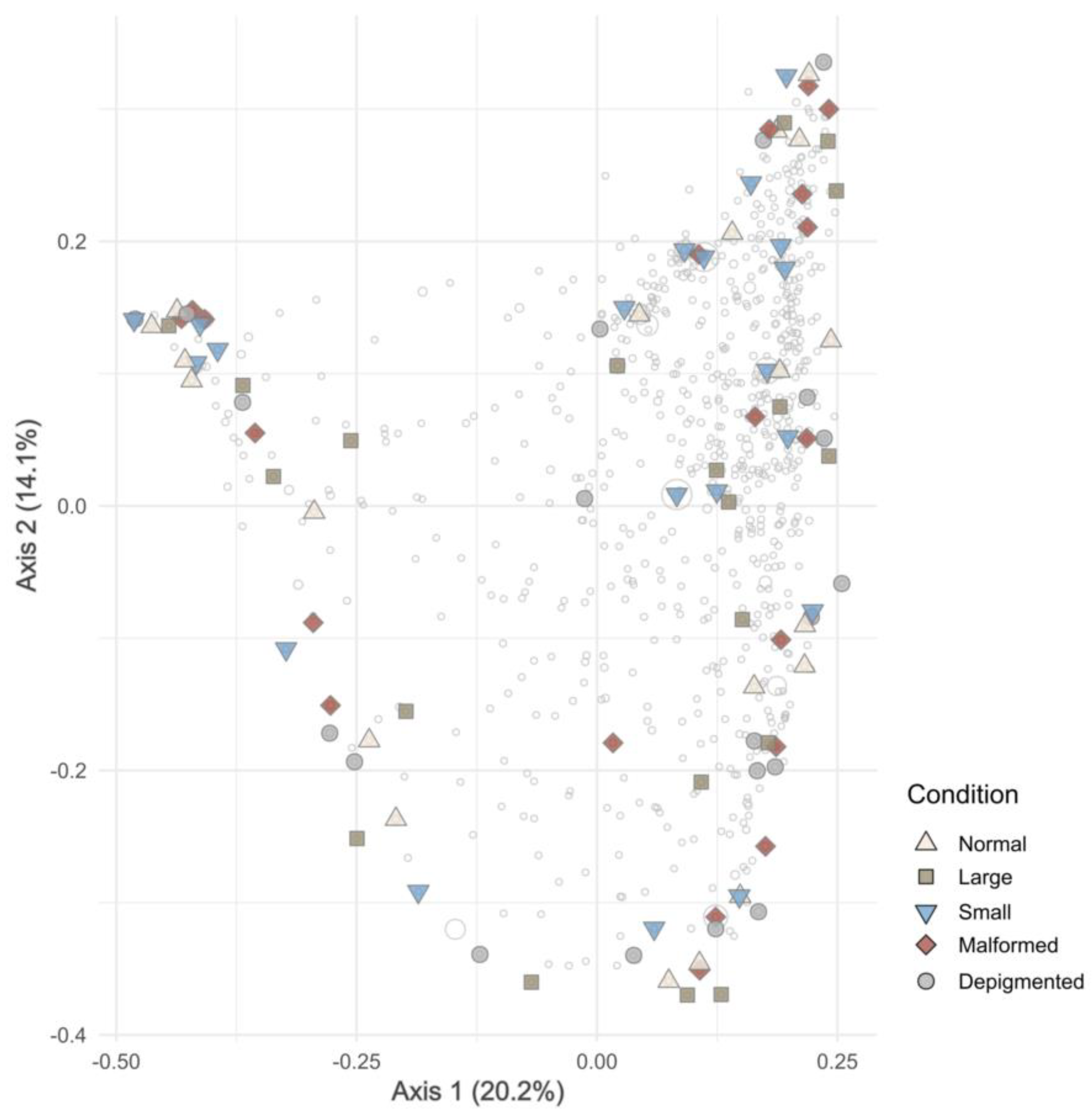 Microorganisms 12 02014 g001 Microorganisms 12 02014 g001