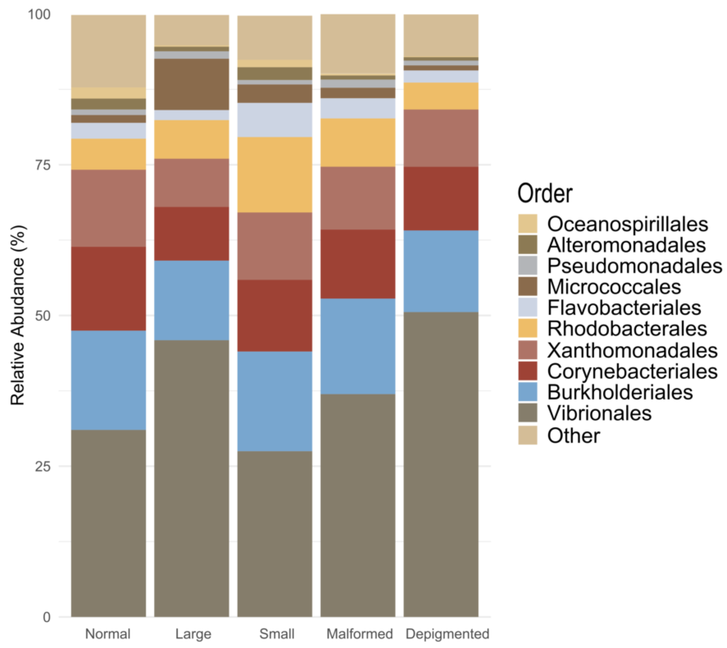 Microorganisms 12 02014 g003 Microorganisms 12 02014 g003