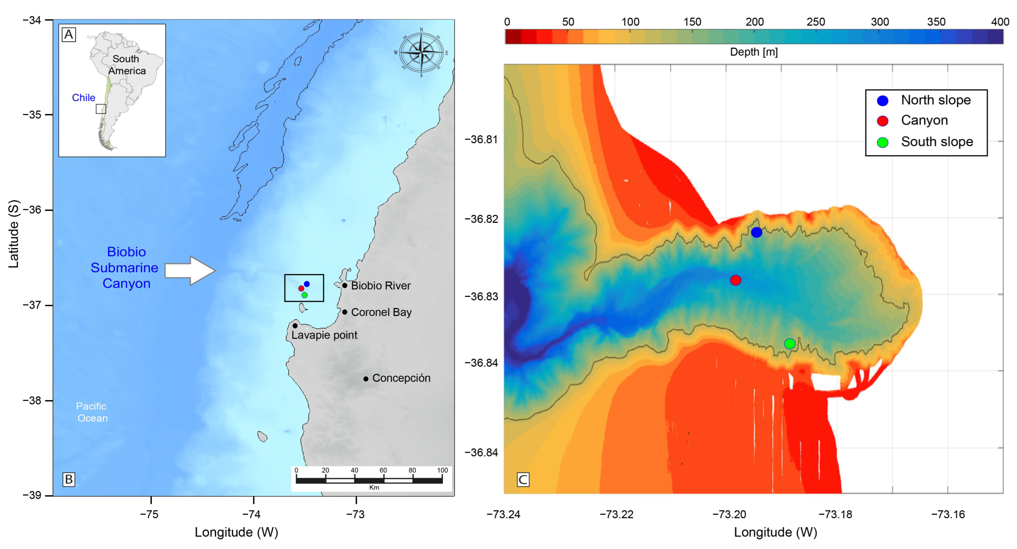 Microorganisms 12 02015 g001