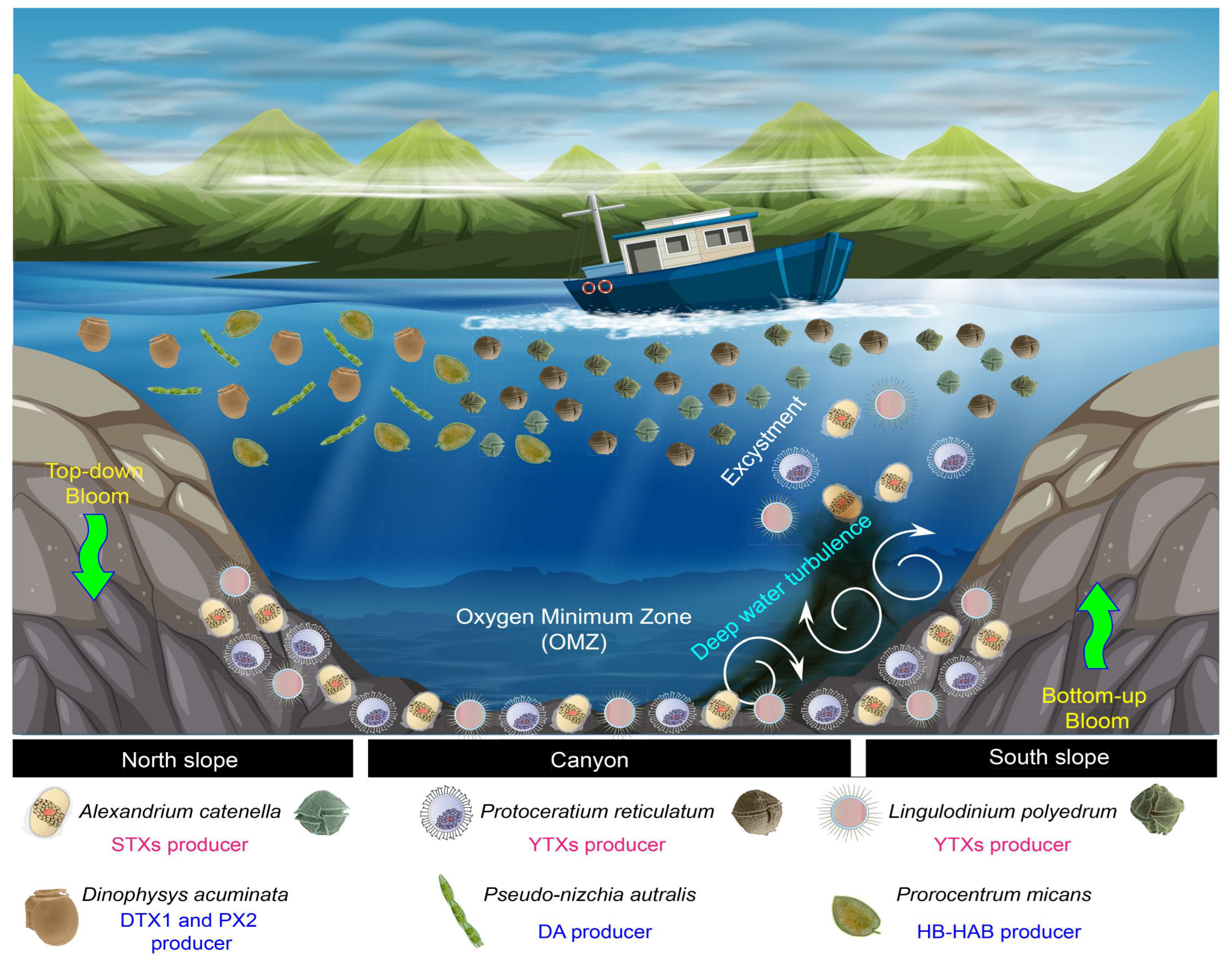 Microorganisms 12 02015 g009