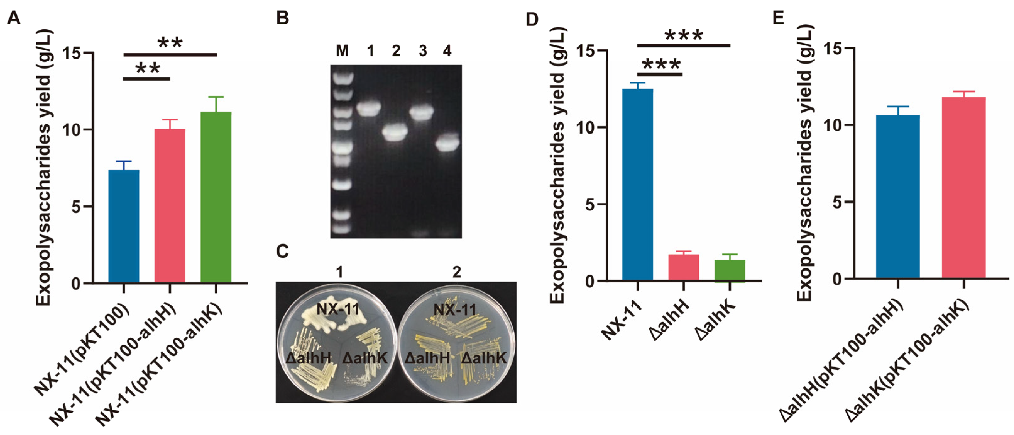 Microorganisms 12 02016 g005