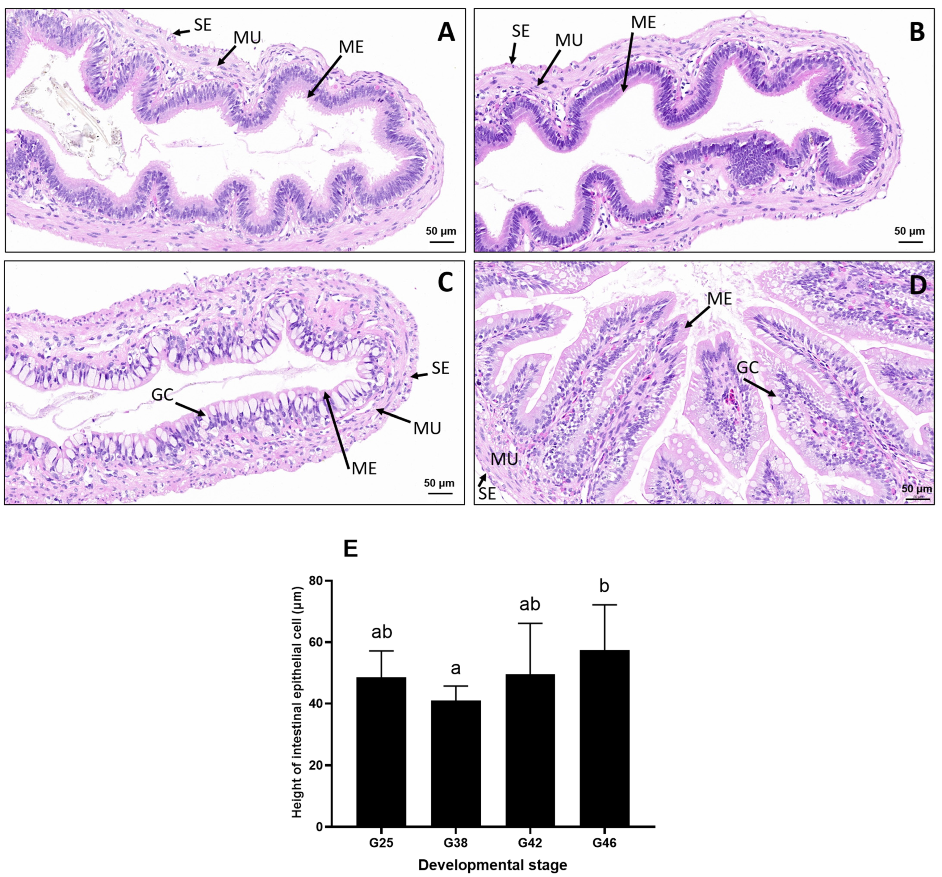Microorganisms 12 02020 g002