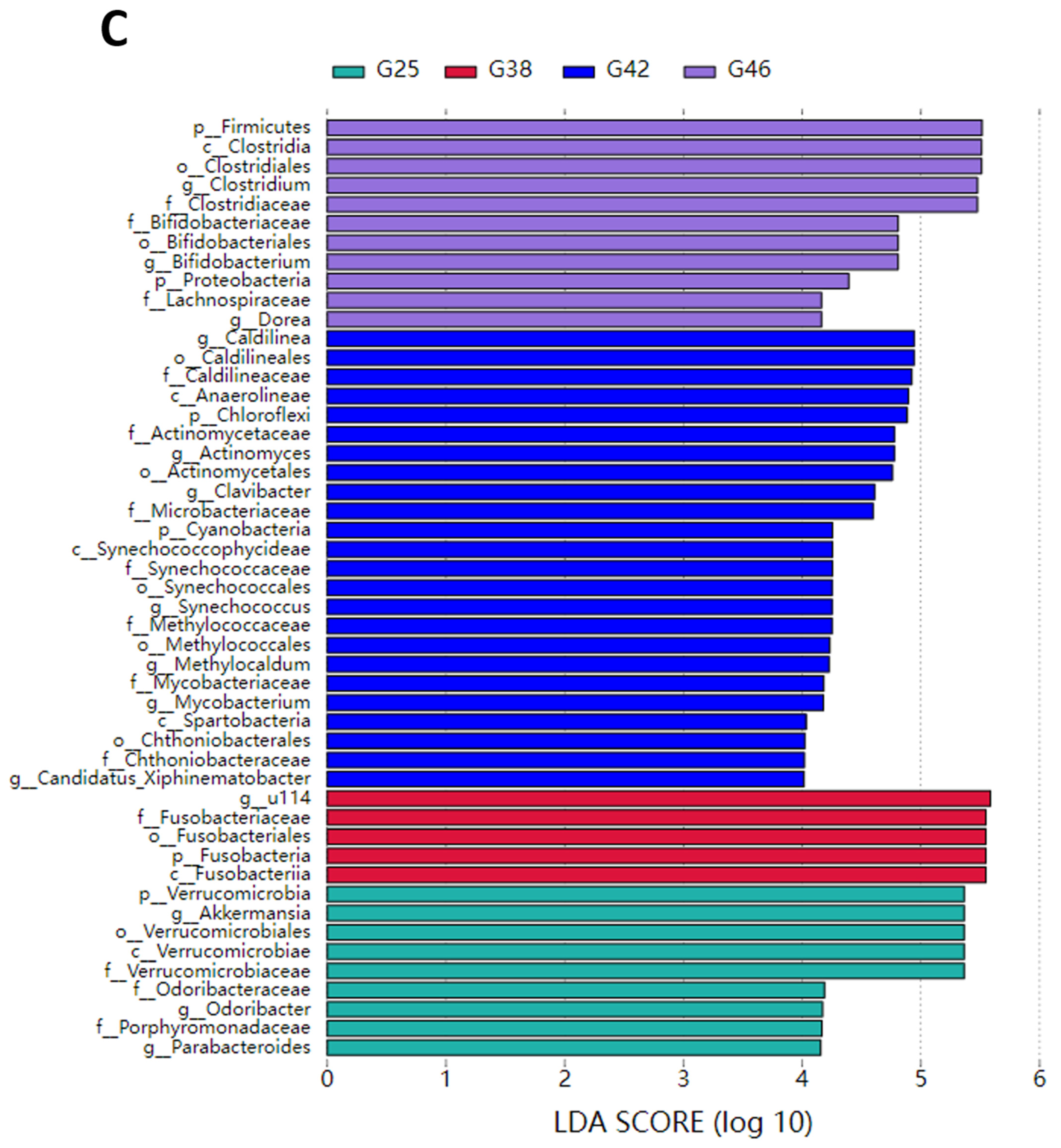 Microorganisms 12 02020 g003c