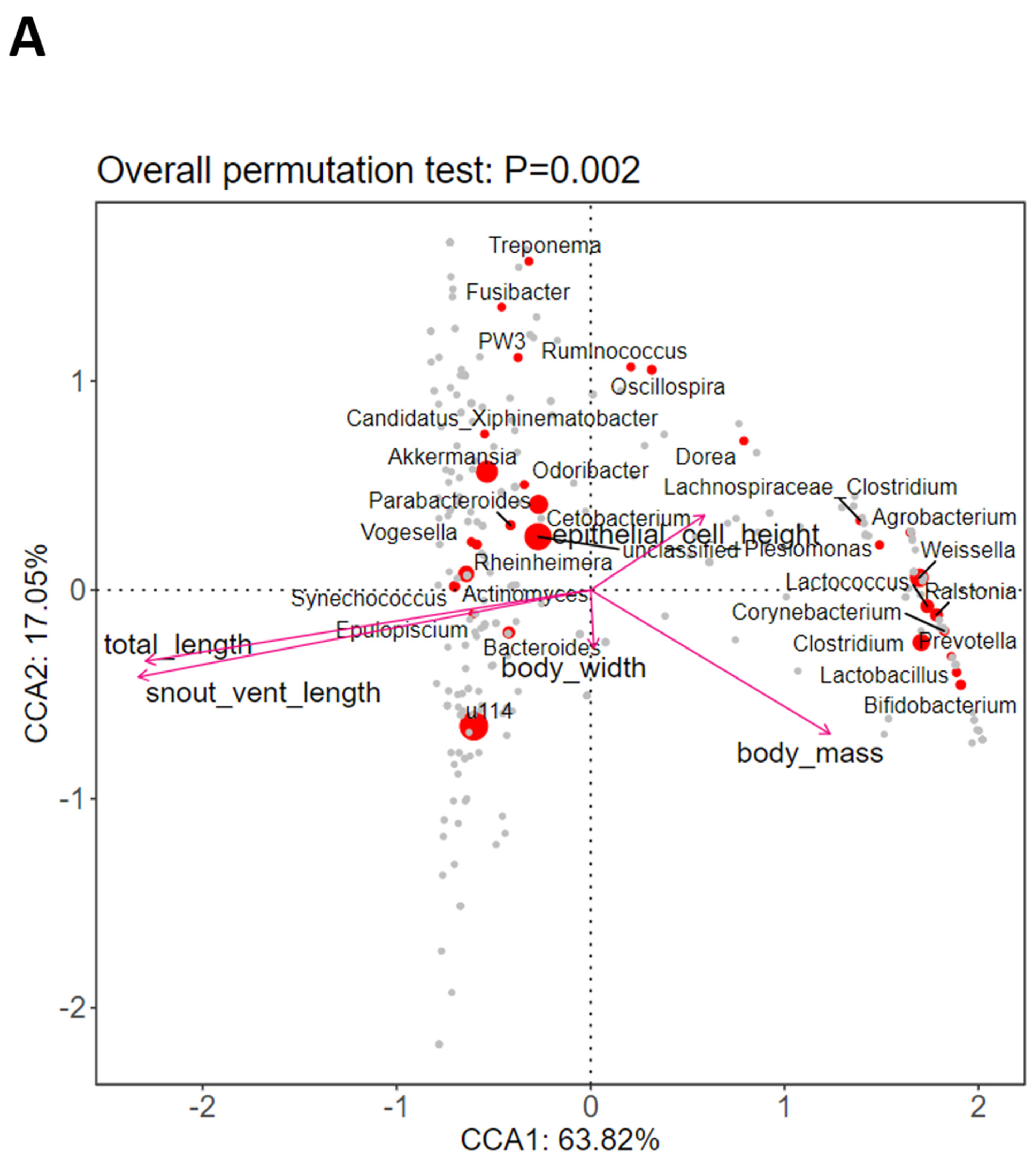 Microorganisms 12 02020 g005a