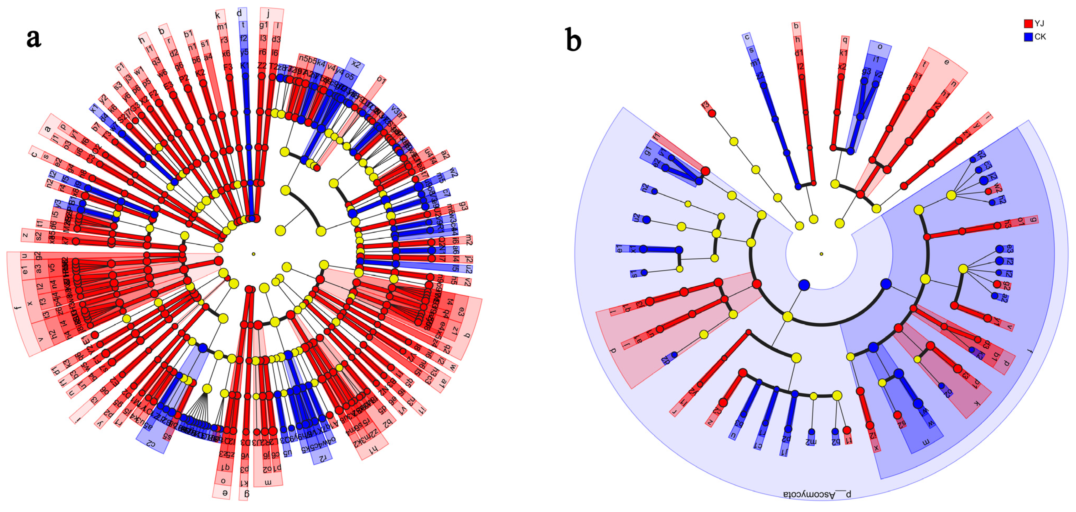 Microorganisms 12 02023 g008
