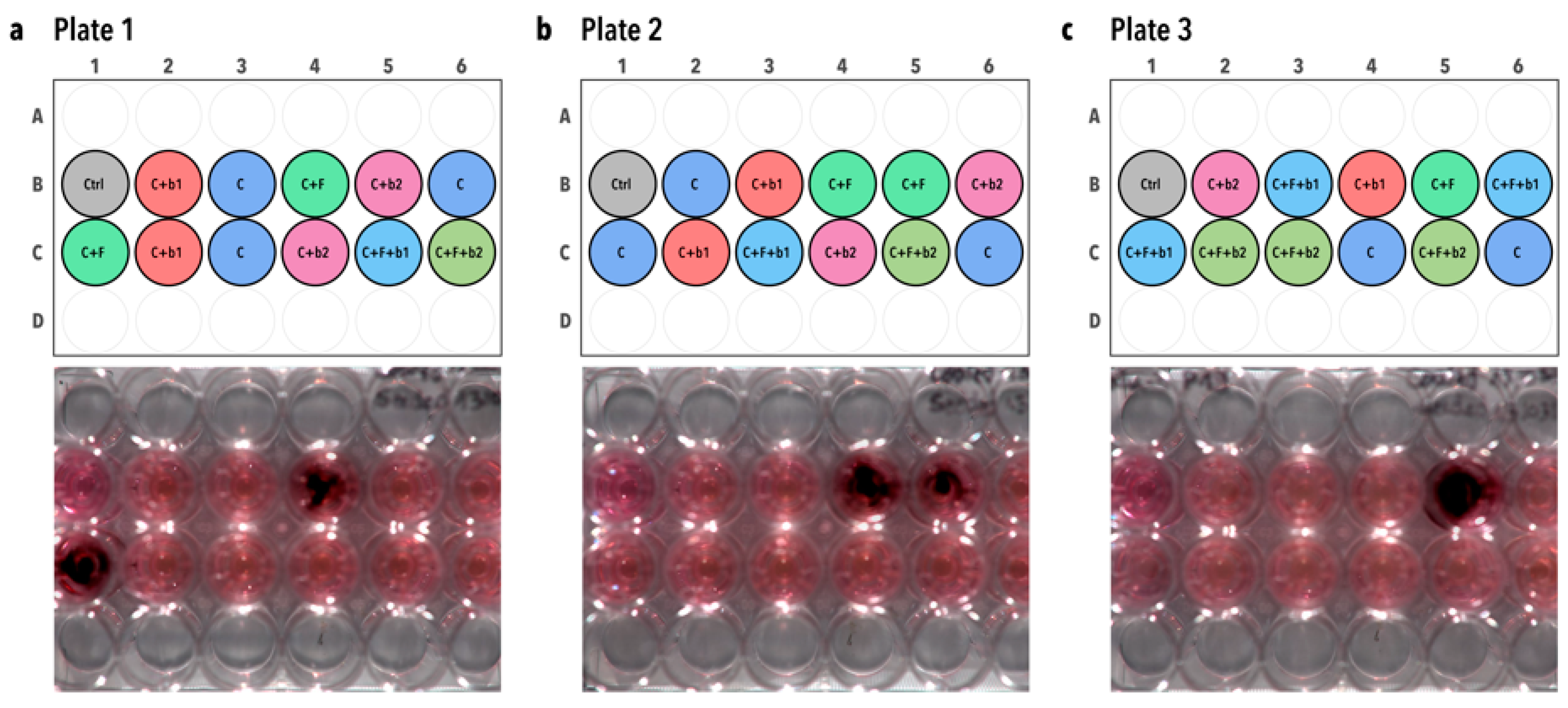 Microorganisms 12 02025 g006