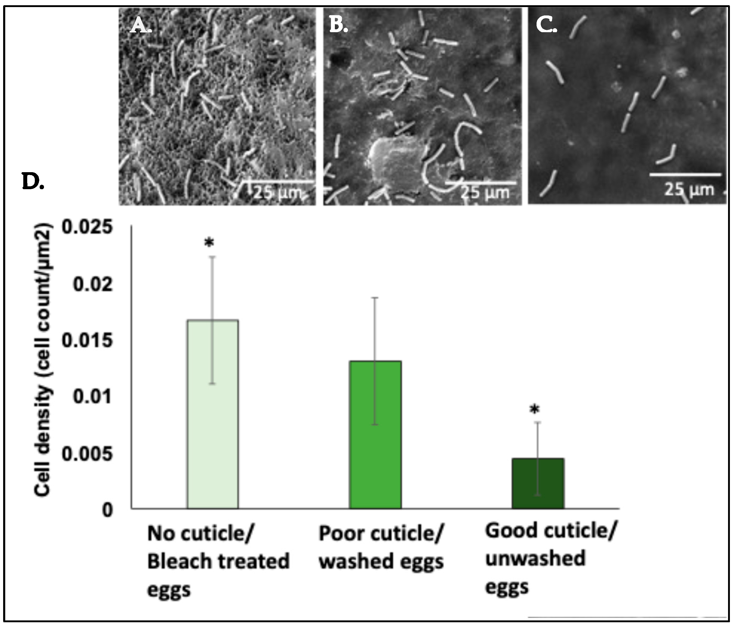 Microorganisms 12 02027 g005