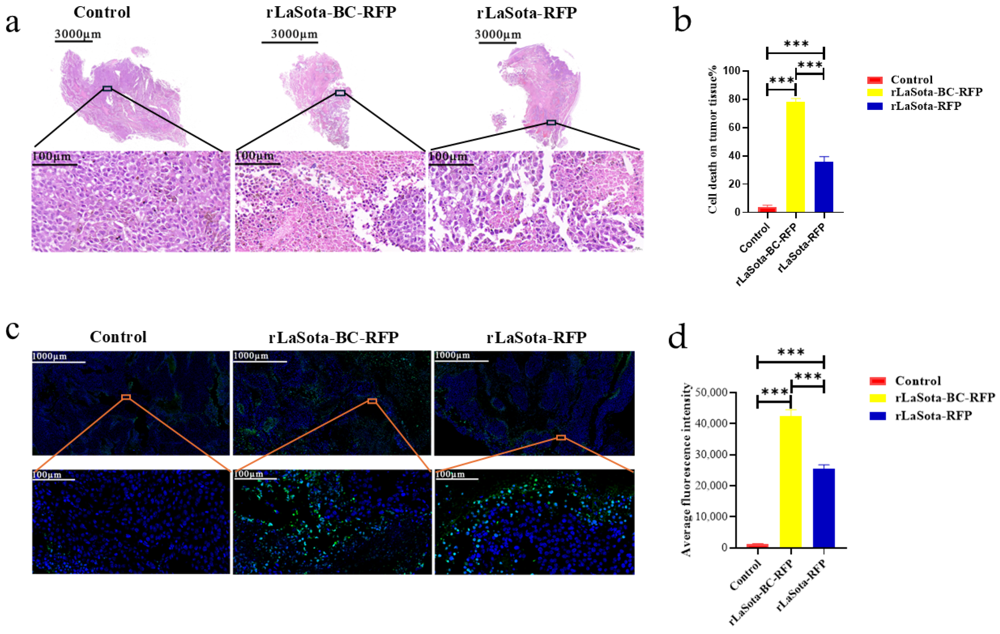 Microorganisms 12 02029 g005