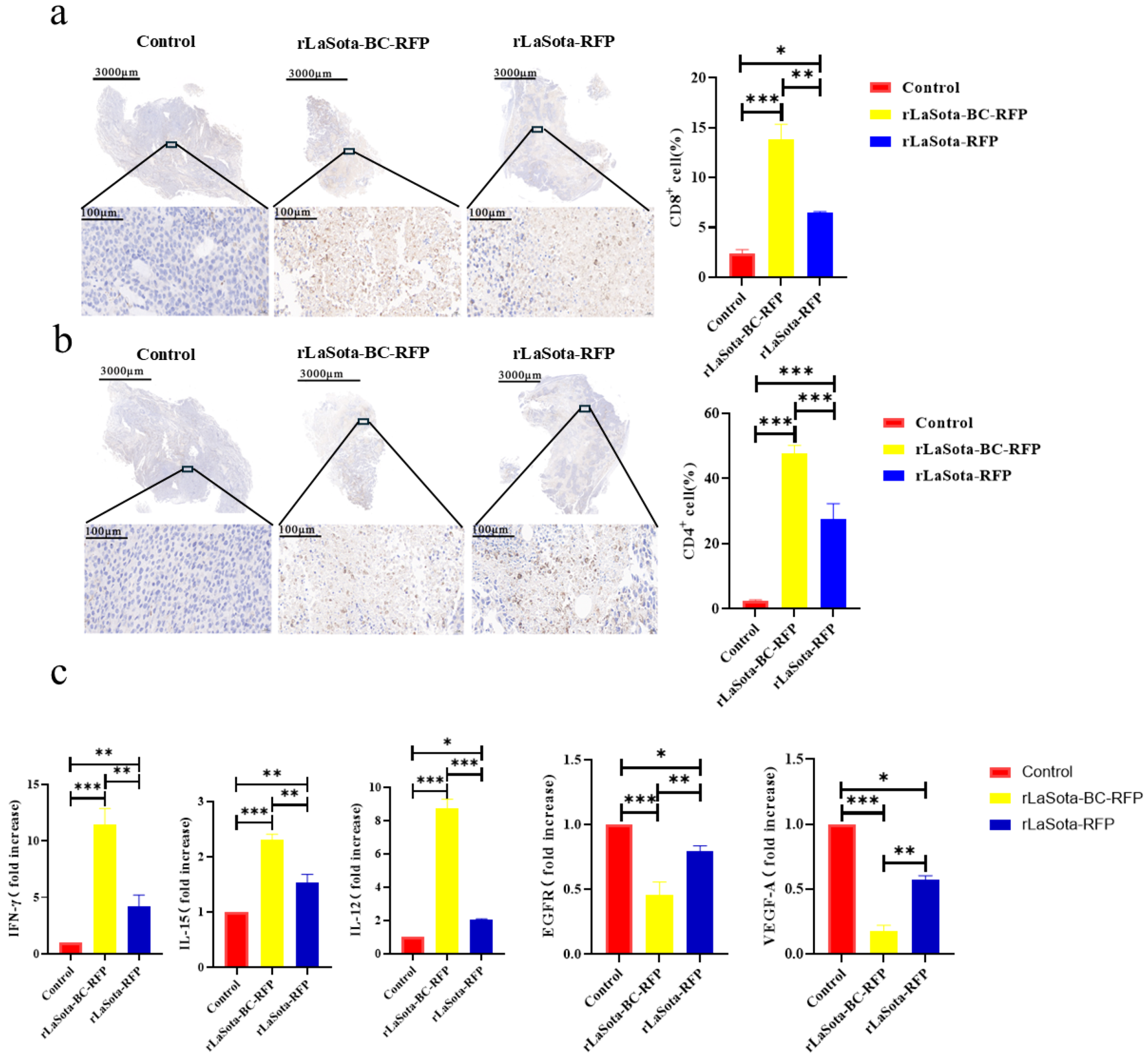 Microorganisms 12 02029 g006
