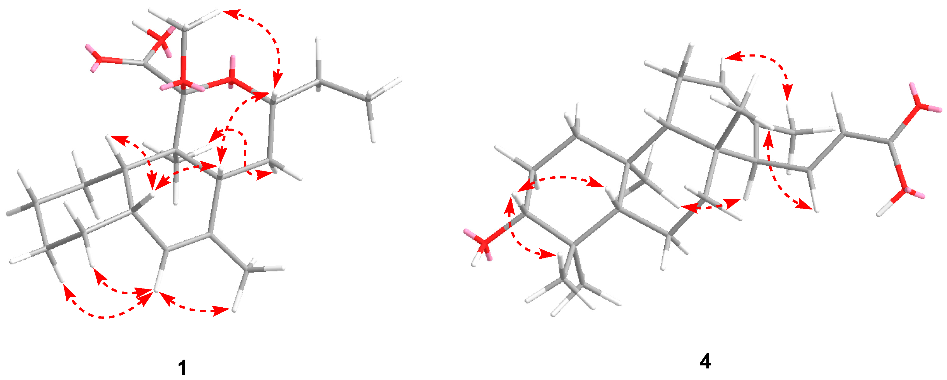 Microorganisms 12 02031 g002